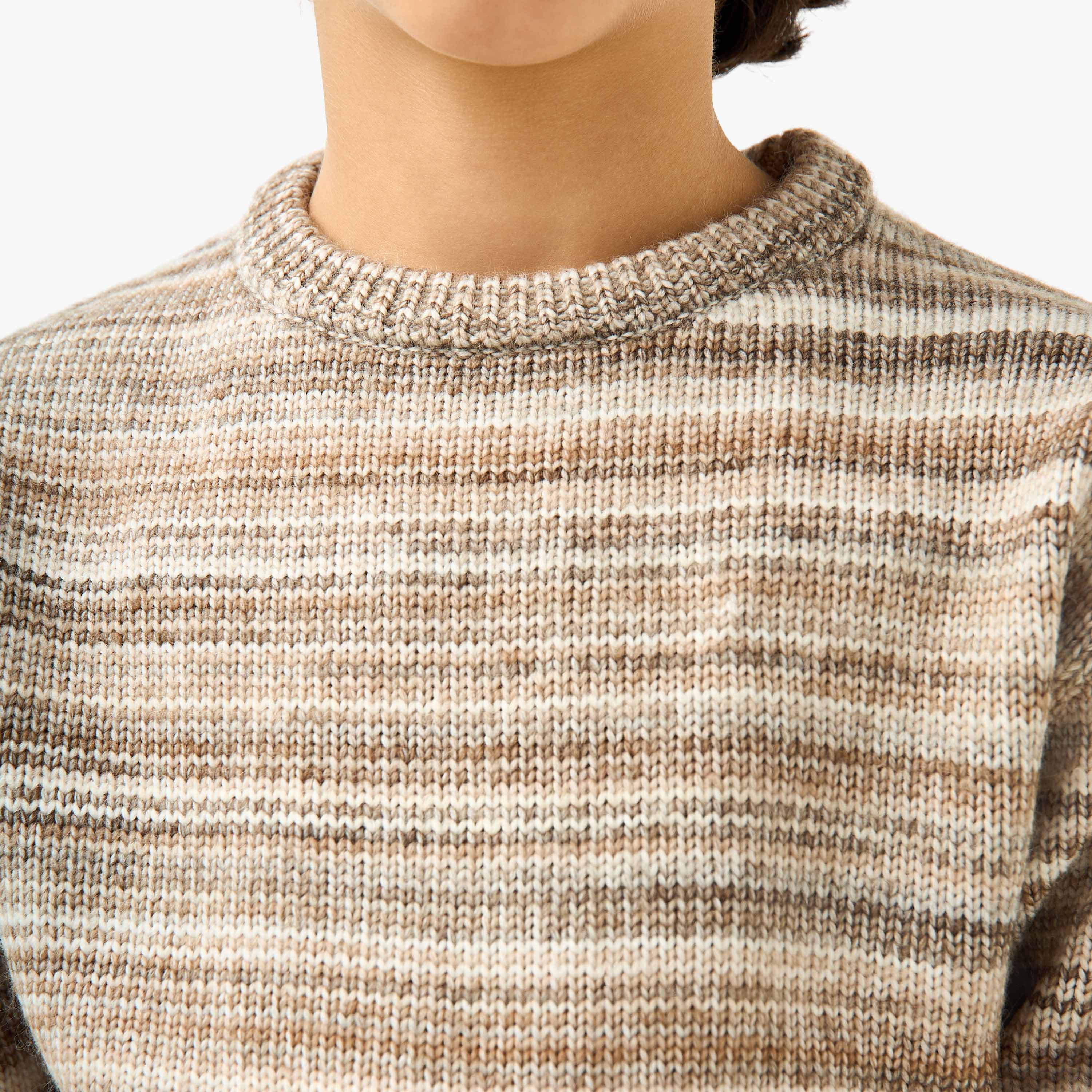 Eligo Striped Crew Neck Pullover with Long Sleeves-boys-clothing-jumpersandcardigans-image-5