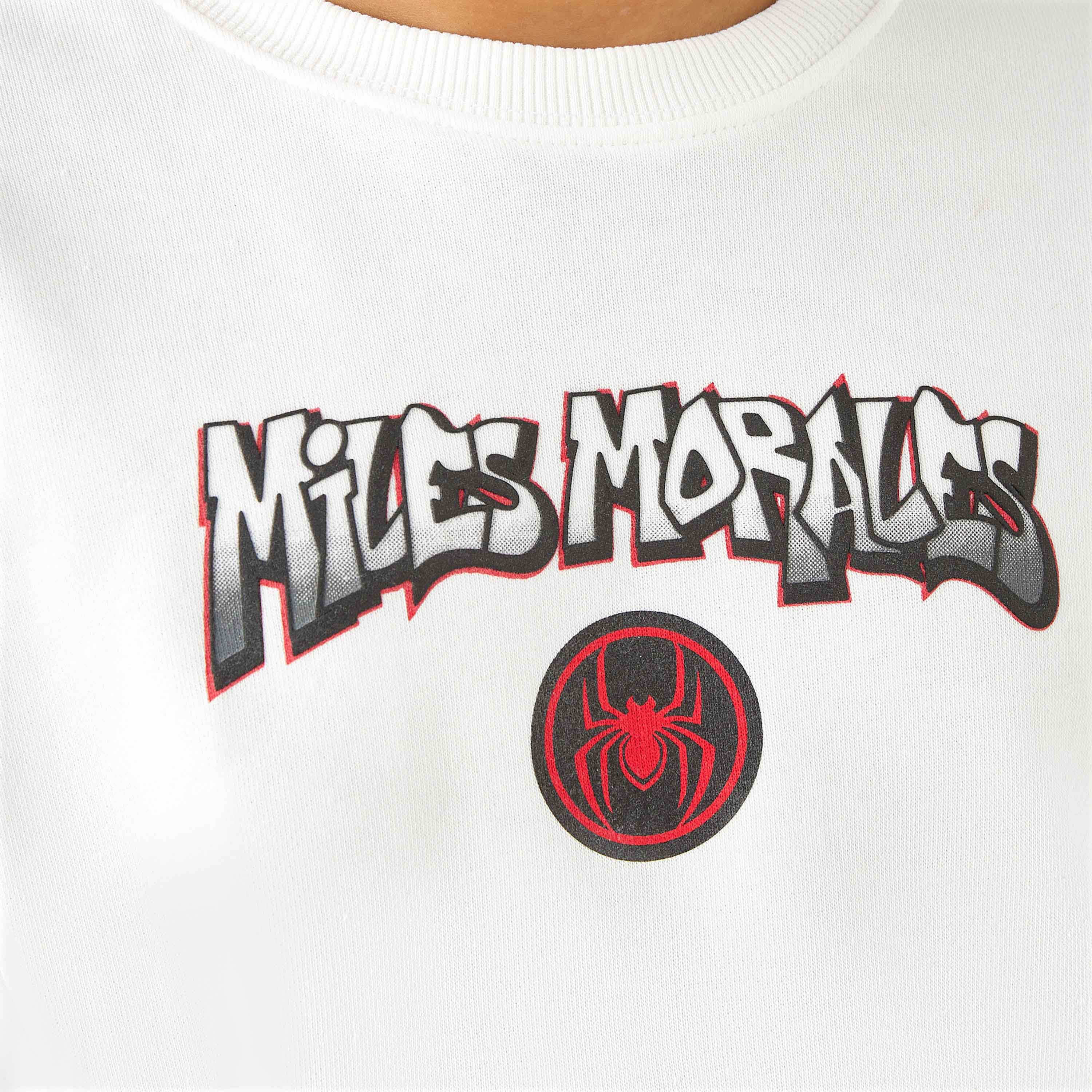 Spider-Man Print Sweatshirt with Long Sleeves-boys-clothing-sweatshirts-image-6