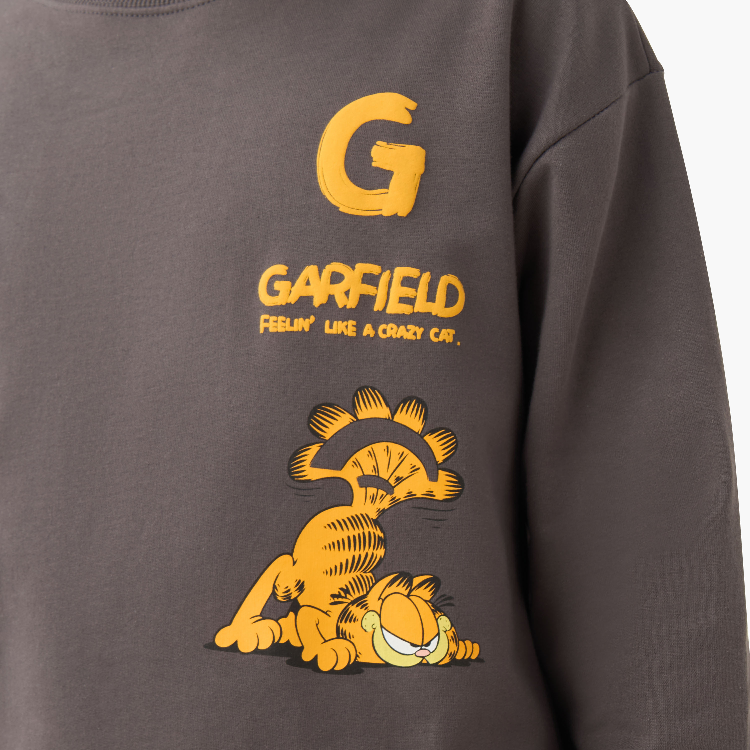 Garfield Print Pullover with Long Sleeves-boys-clothing-sweatshirts-image-5