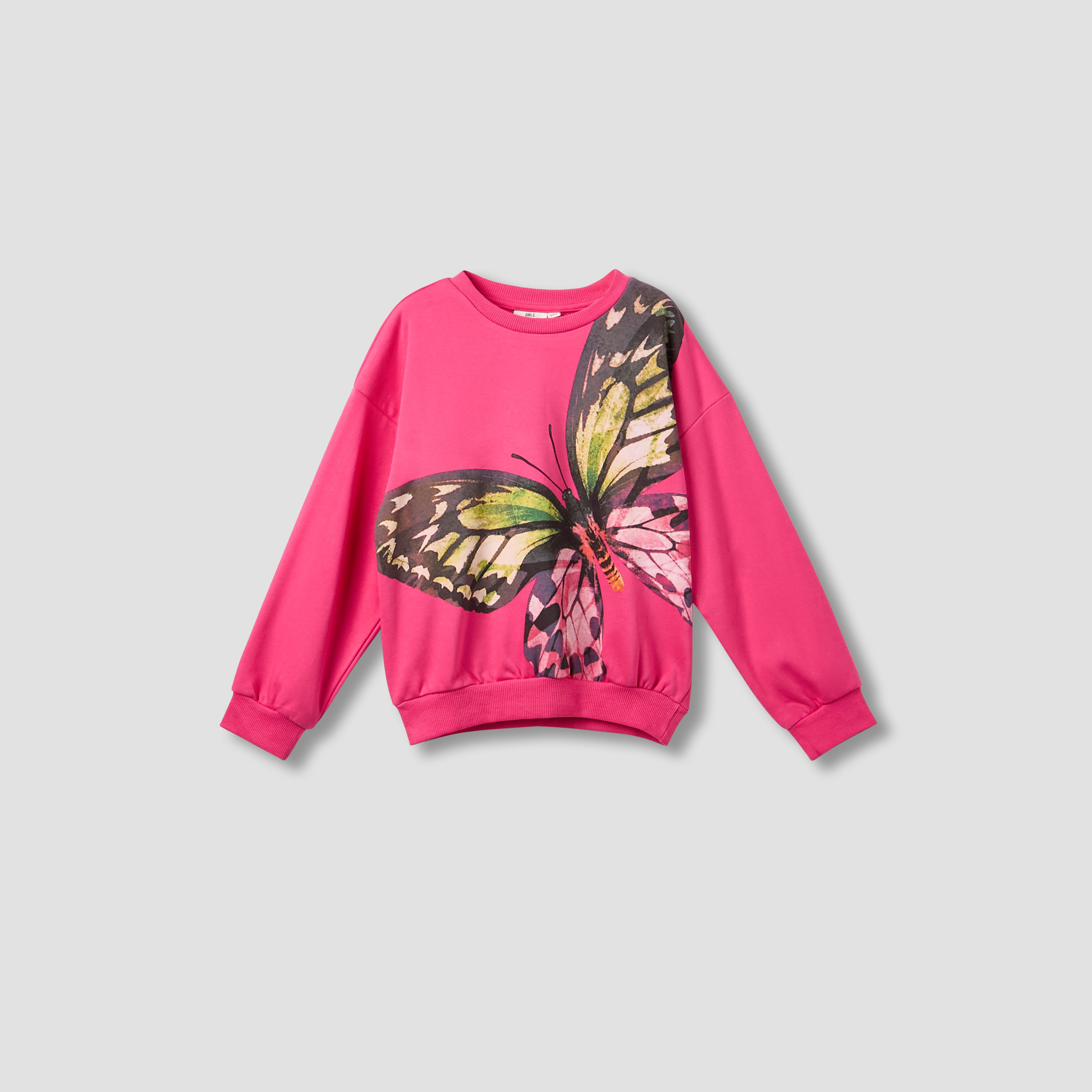 سويت شيرت قطن بياقة ضيقة وأكمام طويلة وطبعات فراشة للبنات من جونيورز-girls-clothing-winterwear-sweatshirts-image-4