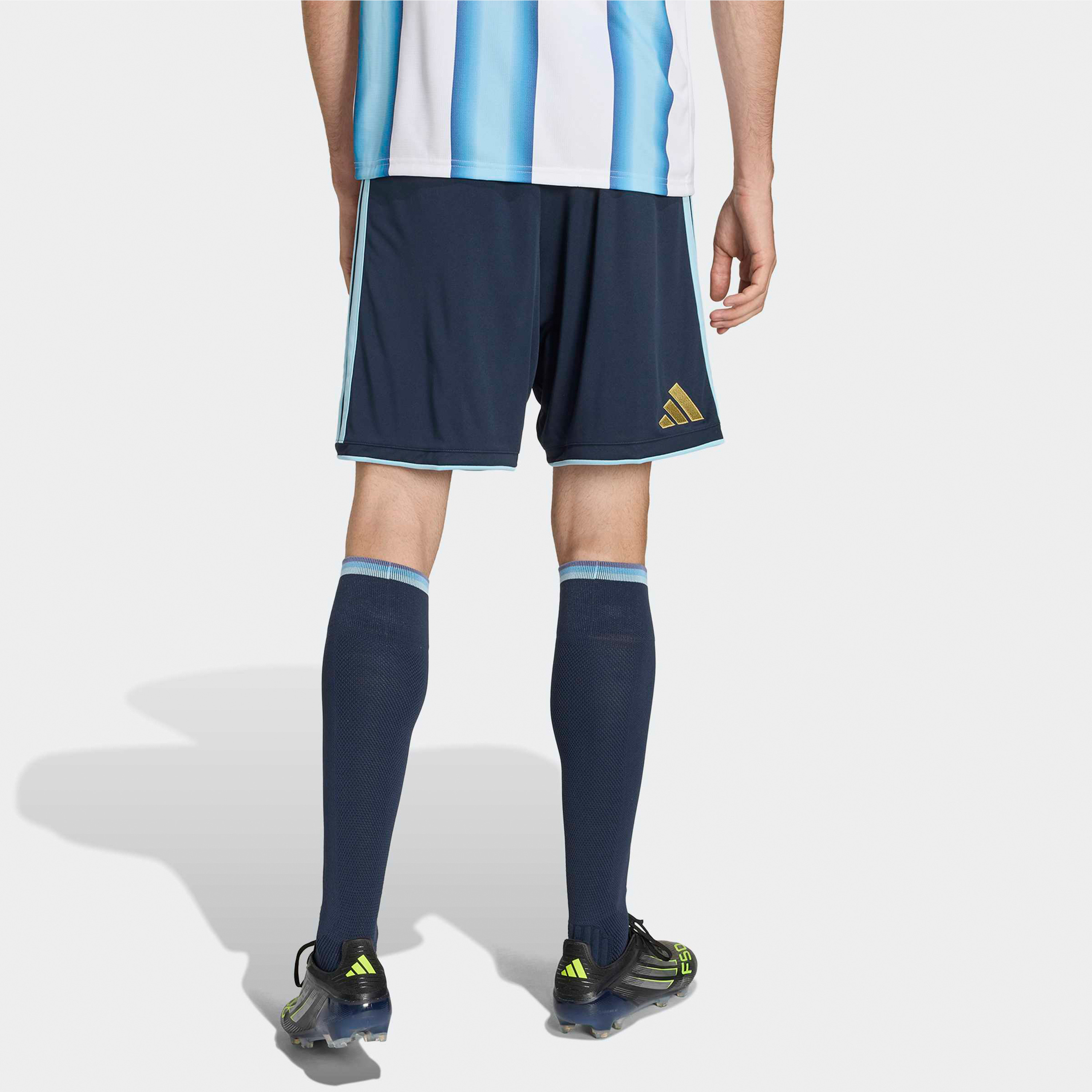 adidas Men Argentina 26 Home Shorts-men-clothing-bottoms-shorts-image-3
