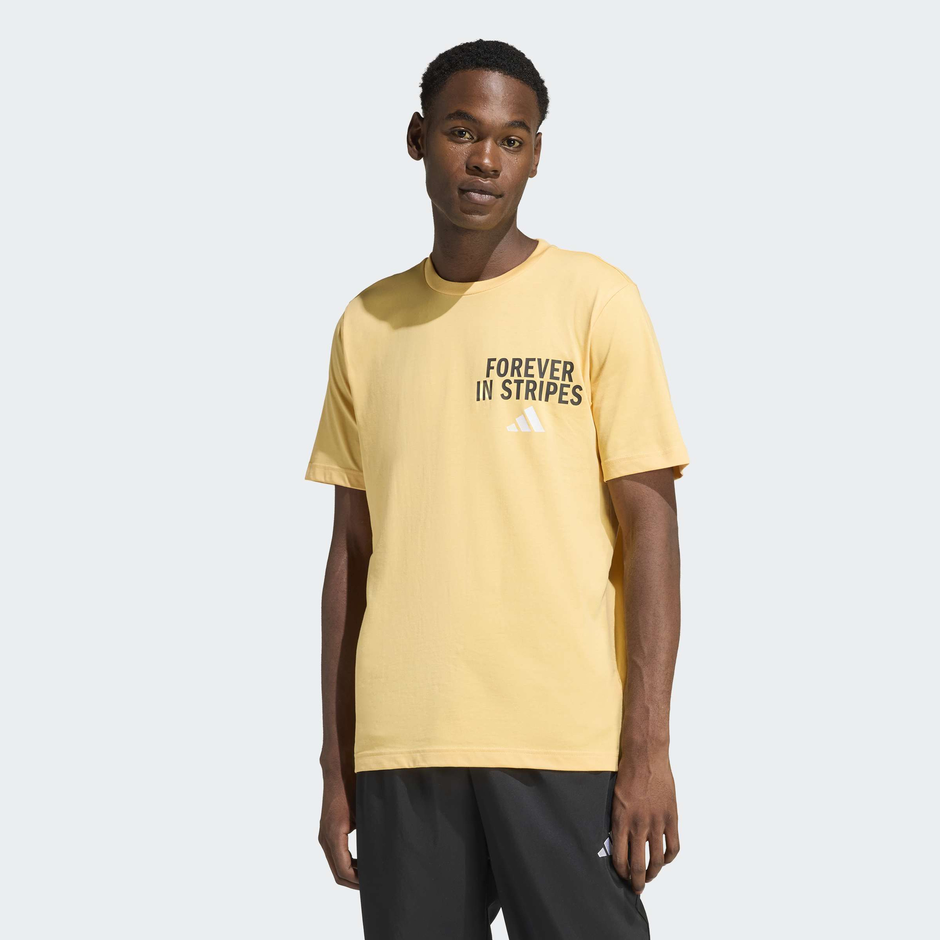 adidas Men Forever In Stripes Graphic Short Sleeve T-Shirt-men-clothing-sportswearandactivewear-tshirtsandpolos-image-1