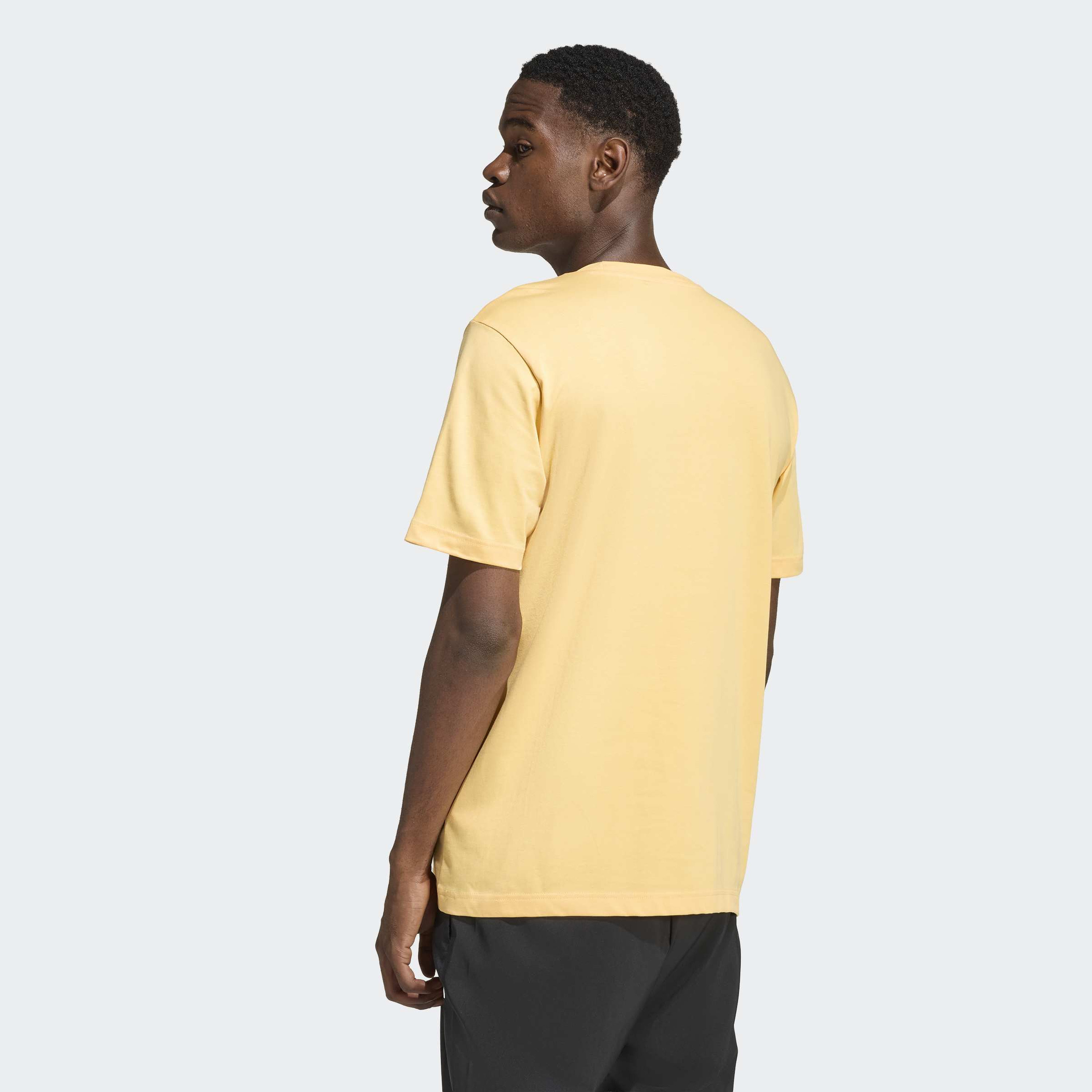 adidas Men Forever In Stripes Graphic Short Sleeve T-Shirt-men-clothing-sportswearandactivewear-tshirtsandpolos-image-3