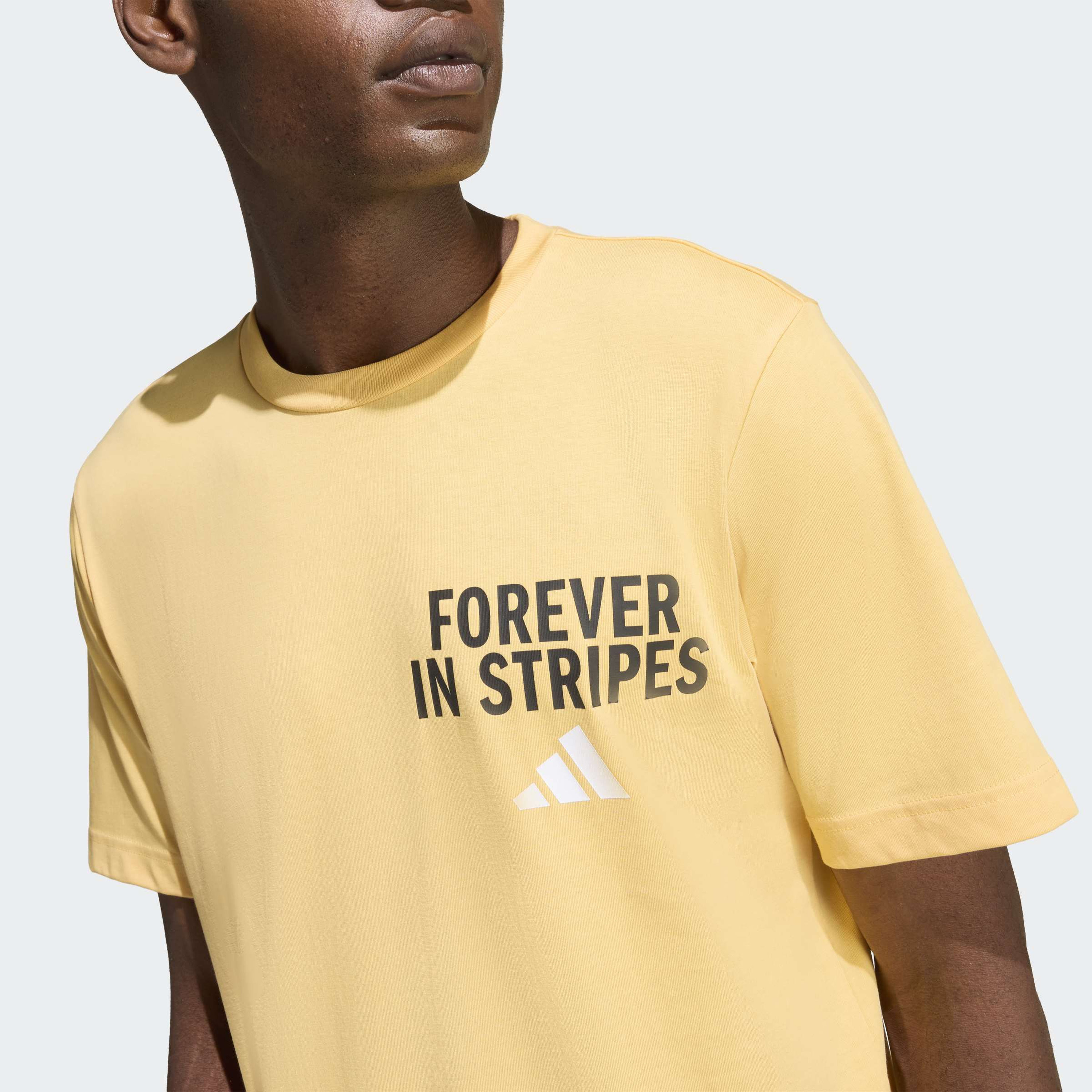 adidas Men Forever In Stripes Graphic Short Sleeve T-Shirt-men-clothing-sportswearandactivewear-tshirtsandpolos-image-4