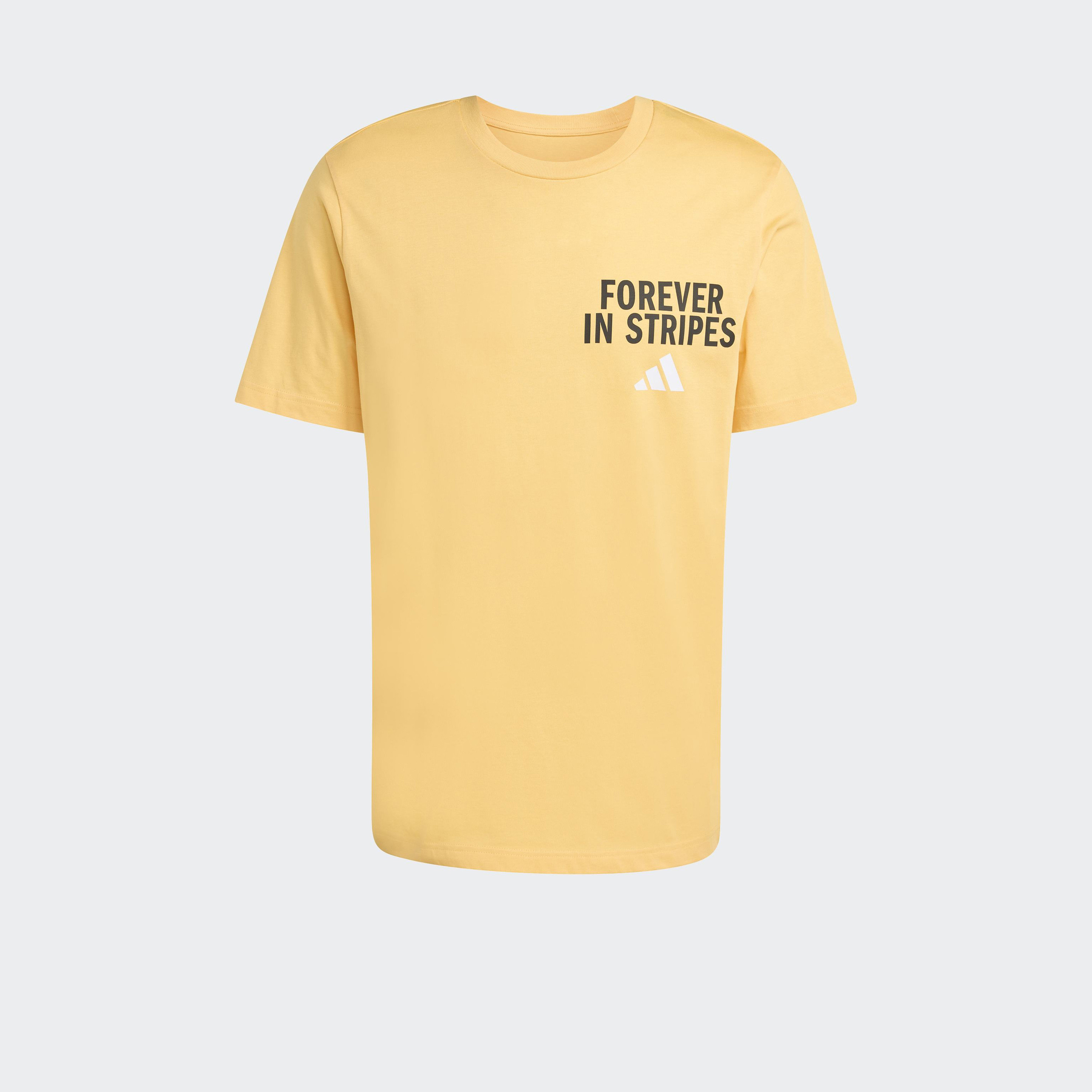 adidas Men Forever In Stripes Graphic Short Sleeve T-Shirt-men-clothing-sportswearandactivewear-tshirtsandpolos-image-6