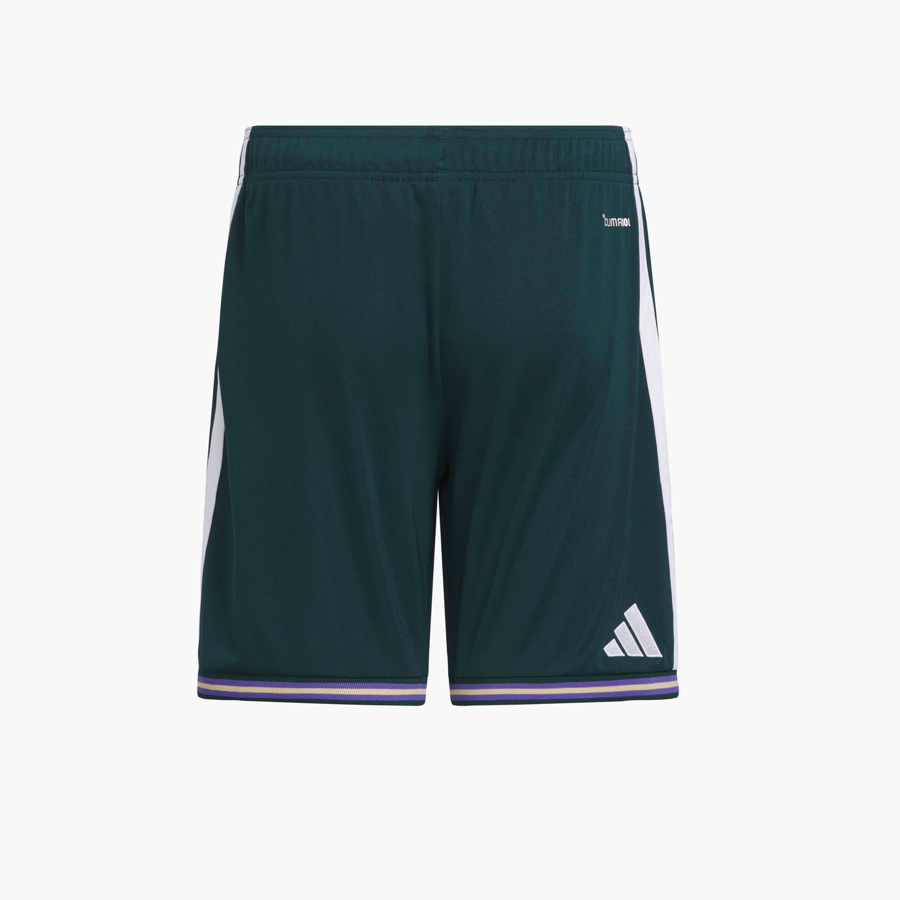 اديداس - شورت المنتخب السعودي 26 للأطفال-sports-boys-clothing-bottoms-image-4