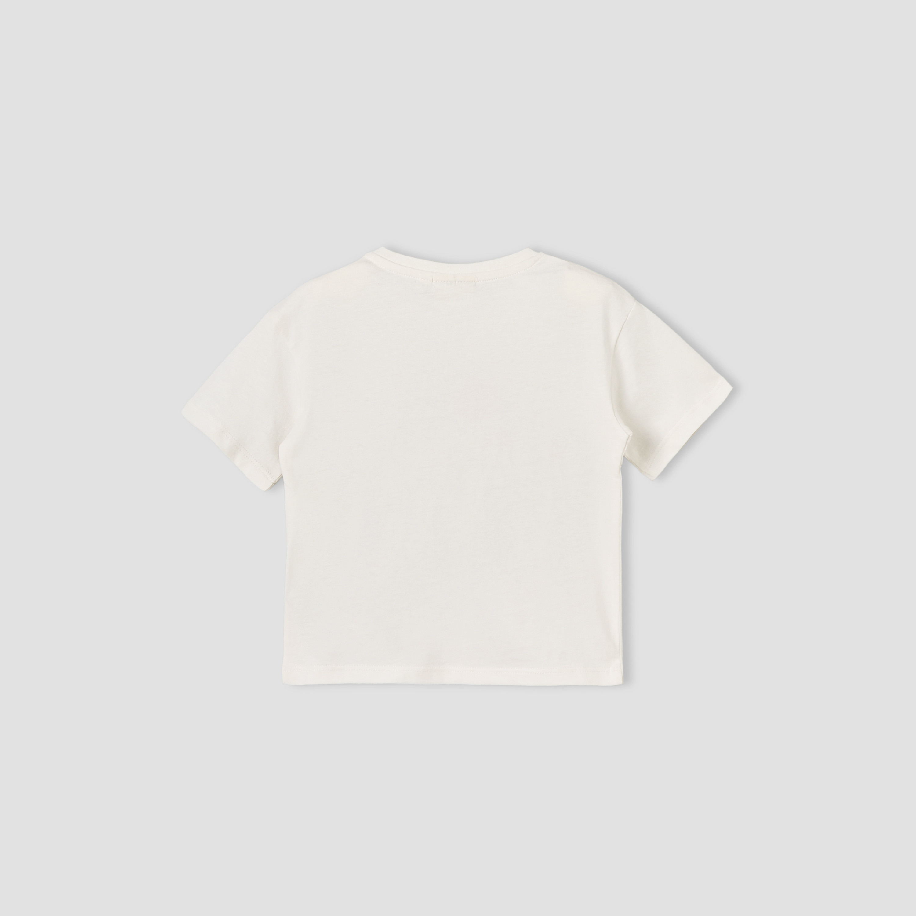 Juniors Crew Neck Short Sleeves T-shirt with Seagull Print-baby-boys-clothing-tshirtsandpolos-image-3