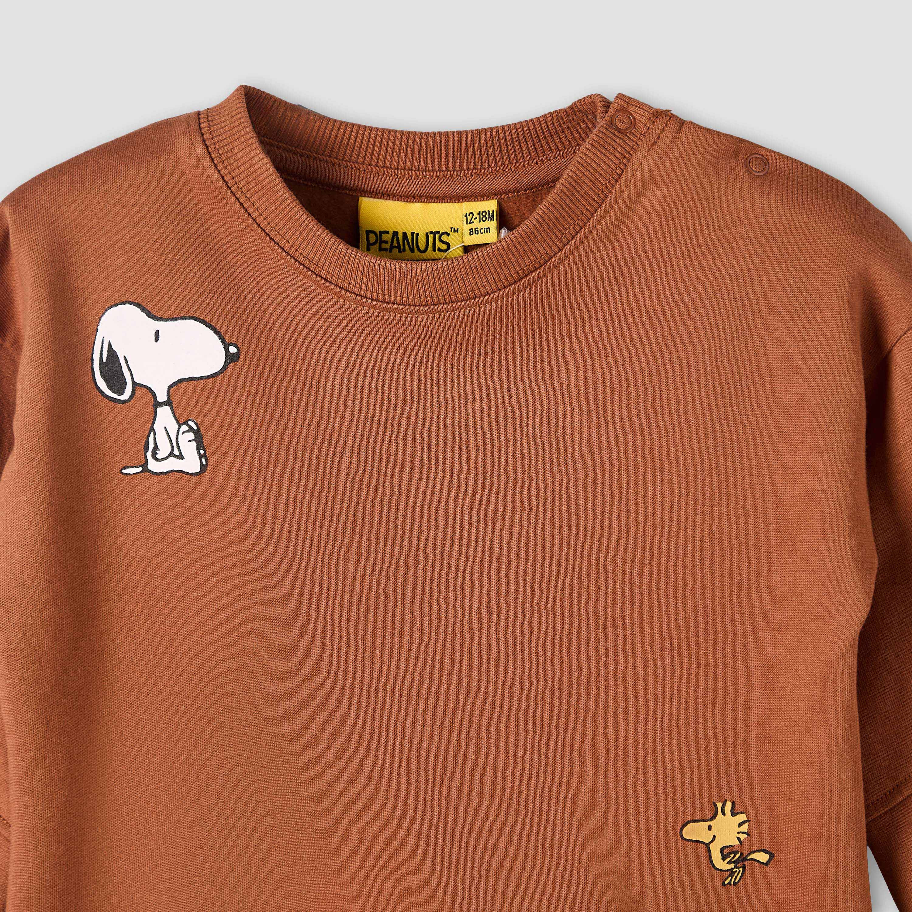 Peanuts Crew Neck Long Sleeves Sweatshirt and Pants Set with Snoopy Print-baby-boys-clothing-winterwear-setsandcoords-image-5