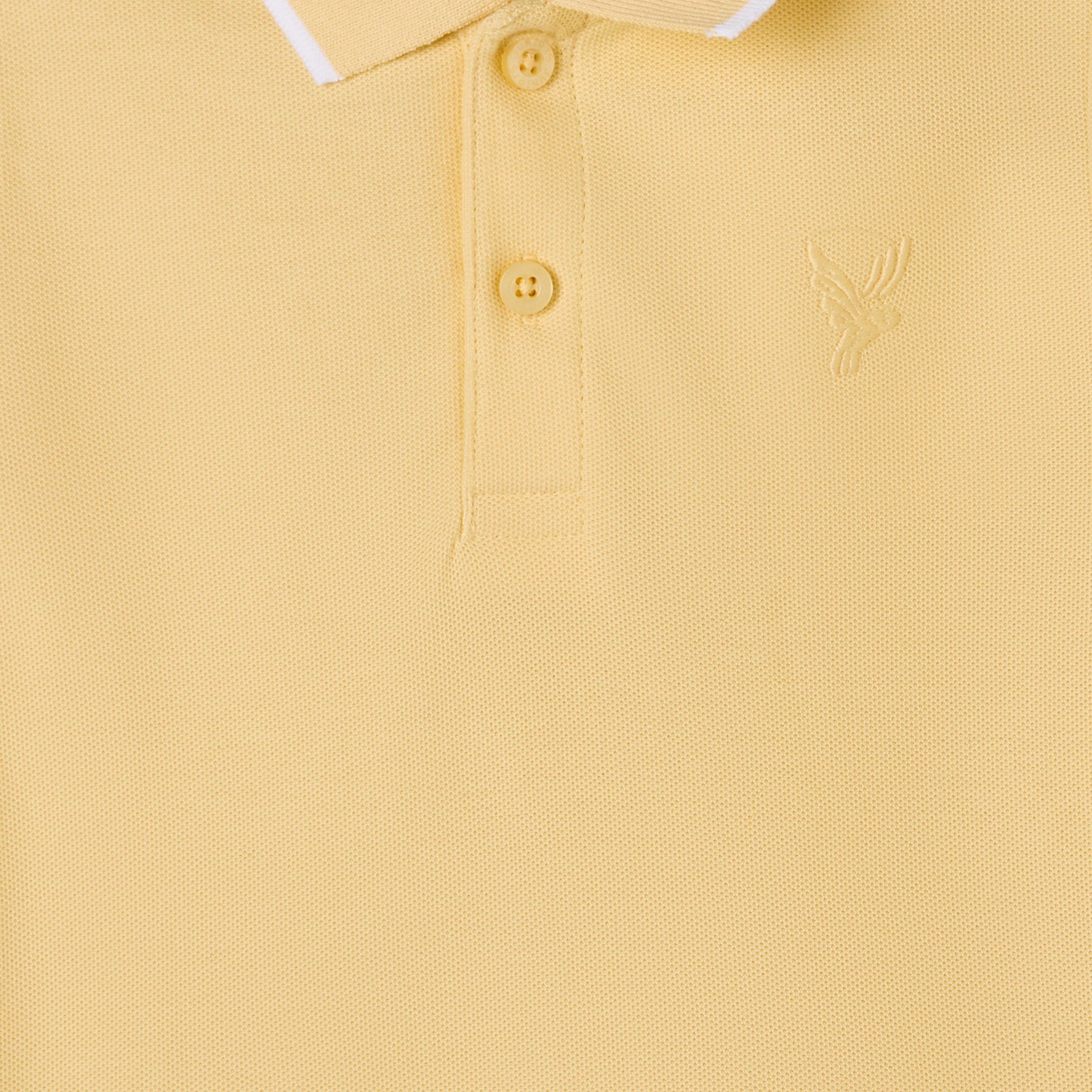 Juniors Boys Collared Short Sleeves T-shirt with Embroidery-boys-clothing-tshirtsandpolos-image-4