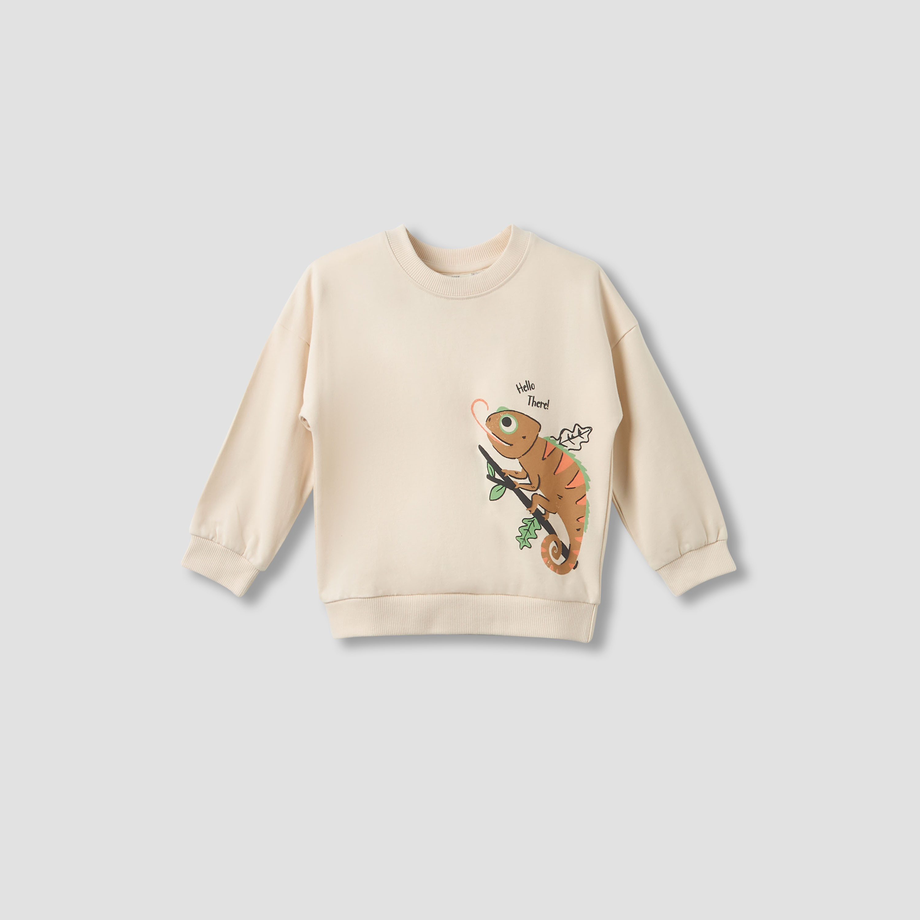 Juniors Chameleon Print Sweatshirt with Long Sleeves-boys-clothing-sweatshirts-image-1