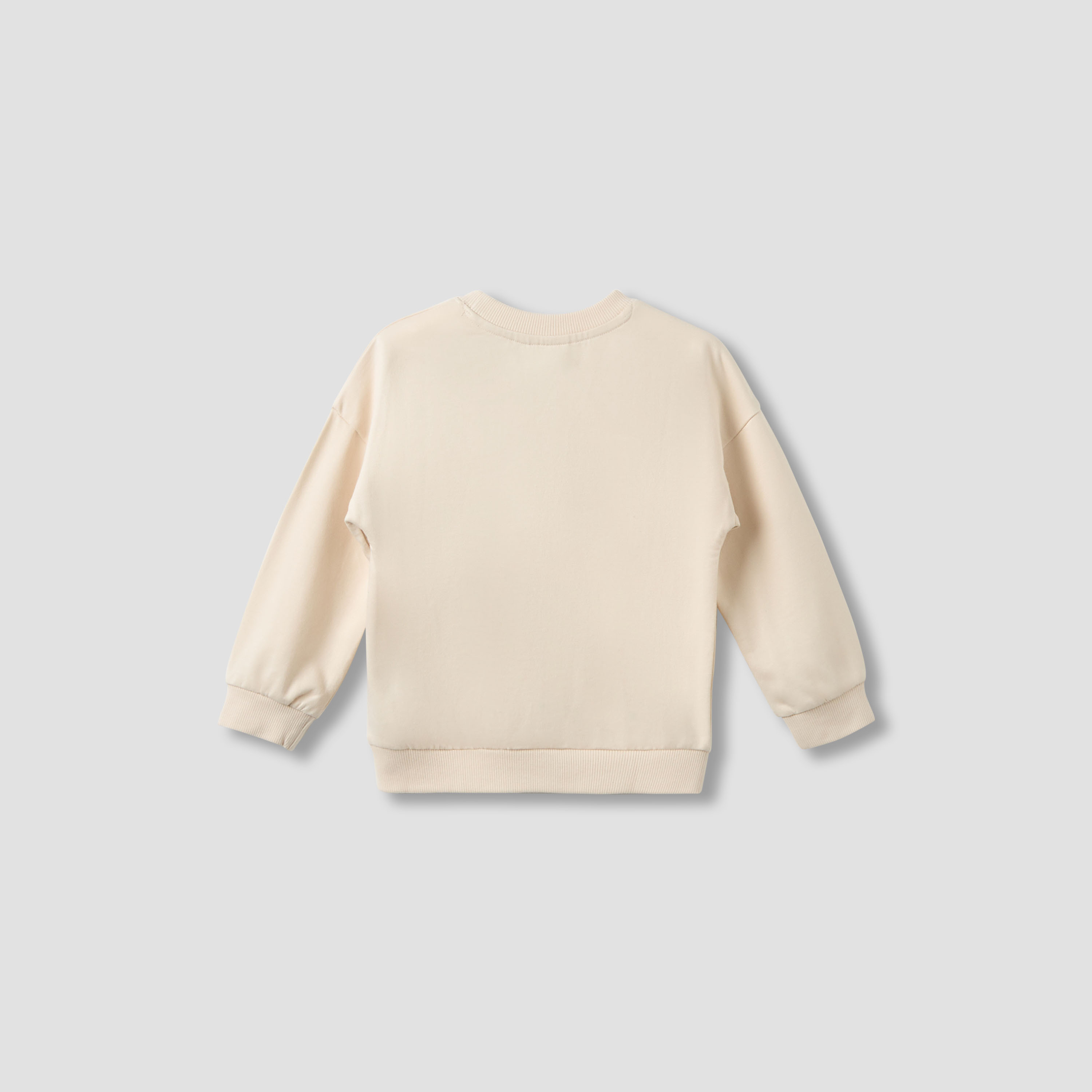 Juniors Chameleon Print Sweatshirt with Long Sleeves-boys-clothing-sweatshirts-image-2