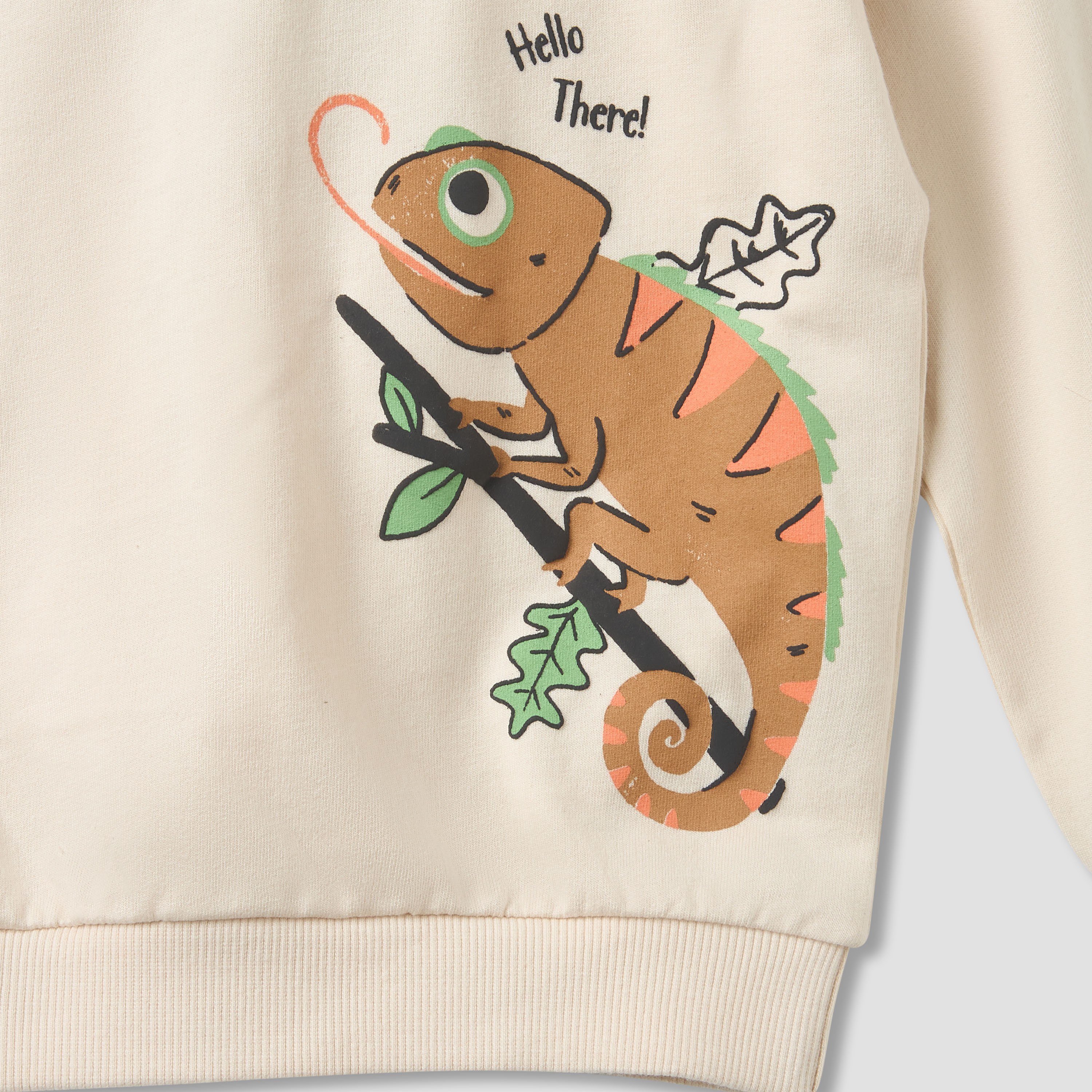 Juniors Chameleon Print Sweatshirt with Long Sleeves-boys-clothing-sweatshirts-image-4