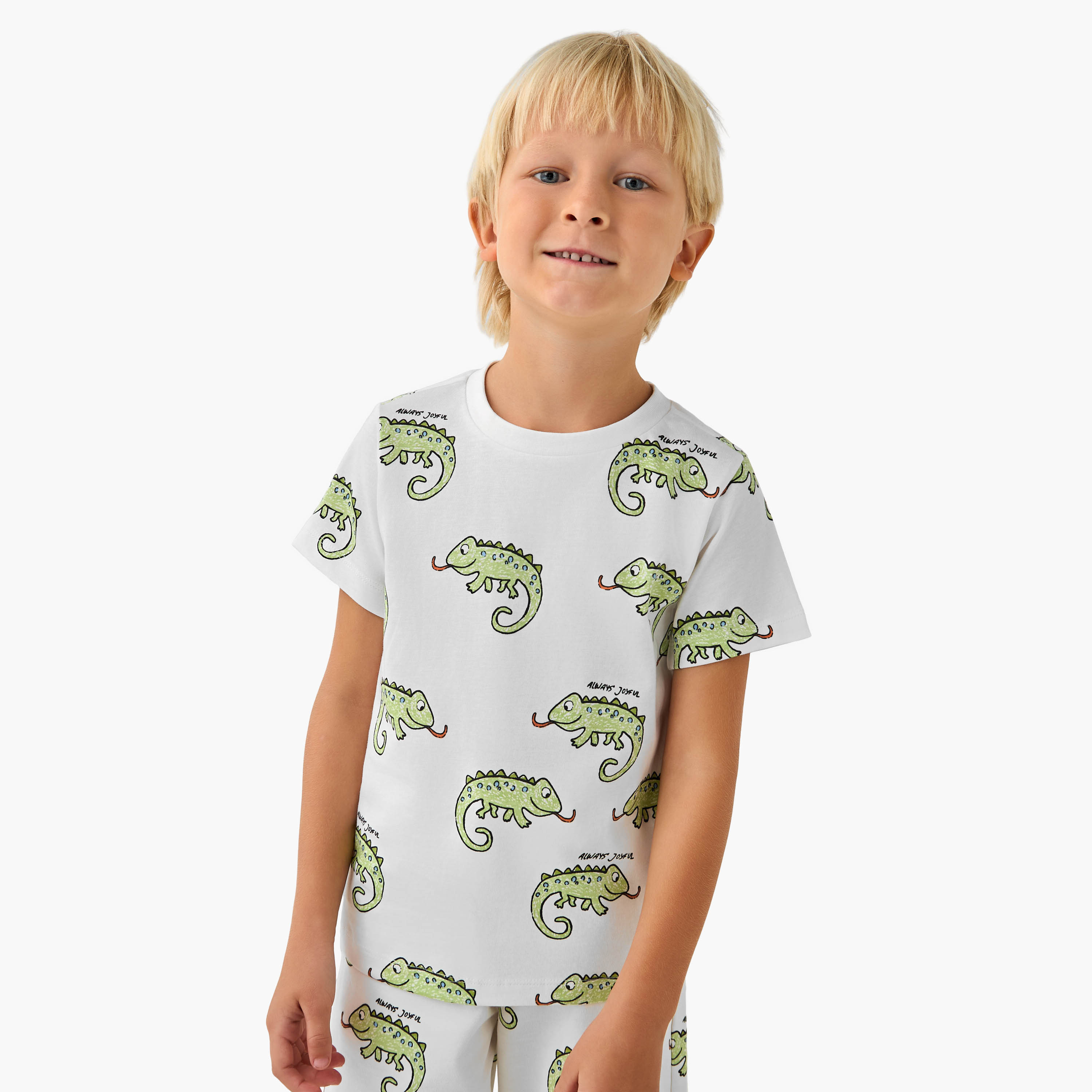 Set of 3 Juniors Crew Neck Short Sleeves T-shirt and Shorts Set with Animal Print-boys-clothing-setsandcoords-image-3