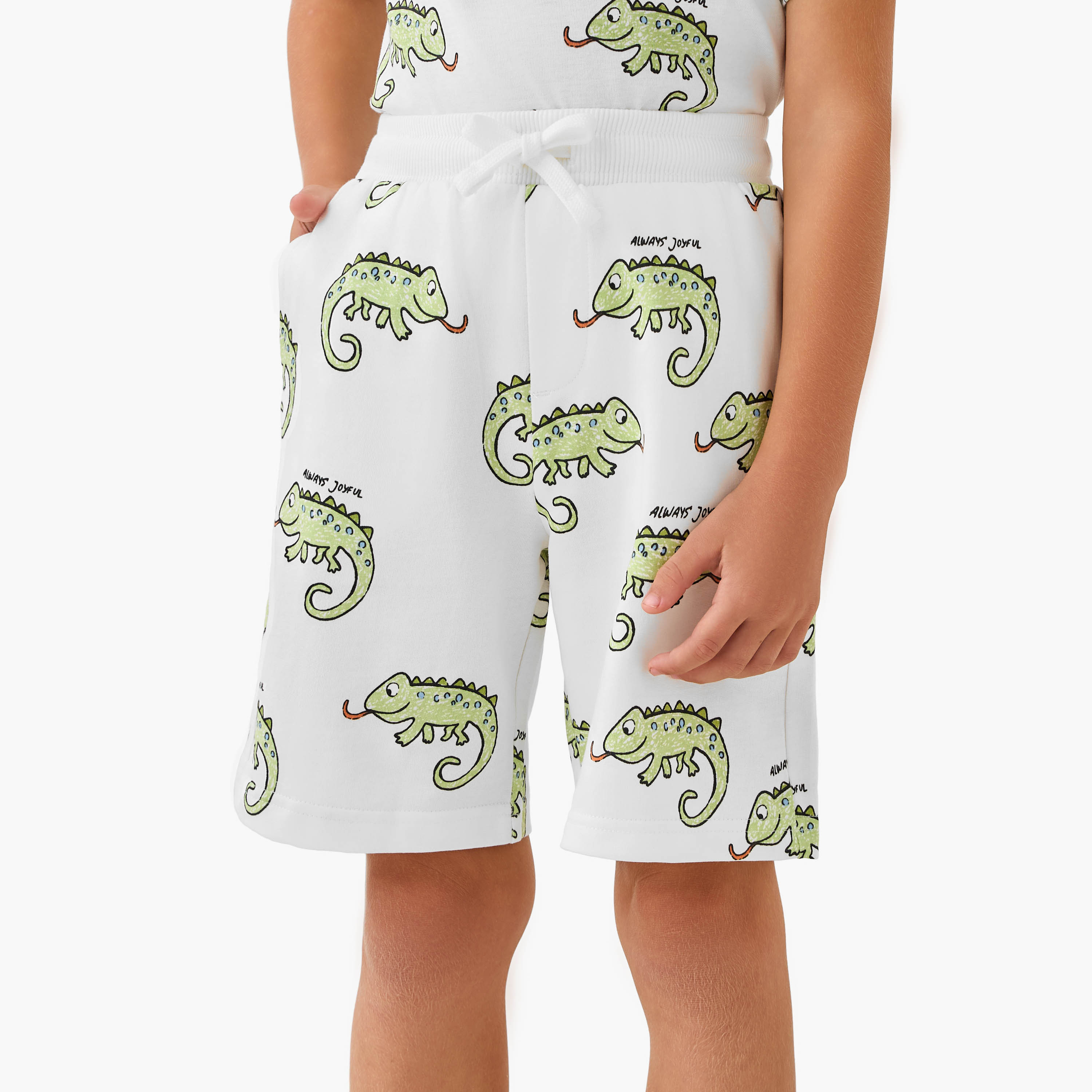 Set of 3 Juniors Crew Neck Short Sleeves T-shirt and Shorts Set with Animal Print-boys-clothing-setsandcoords-image-4