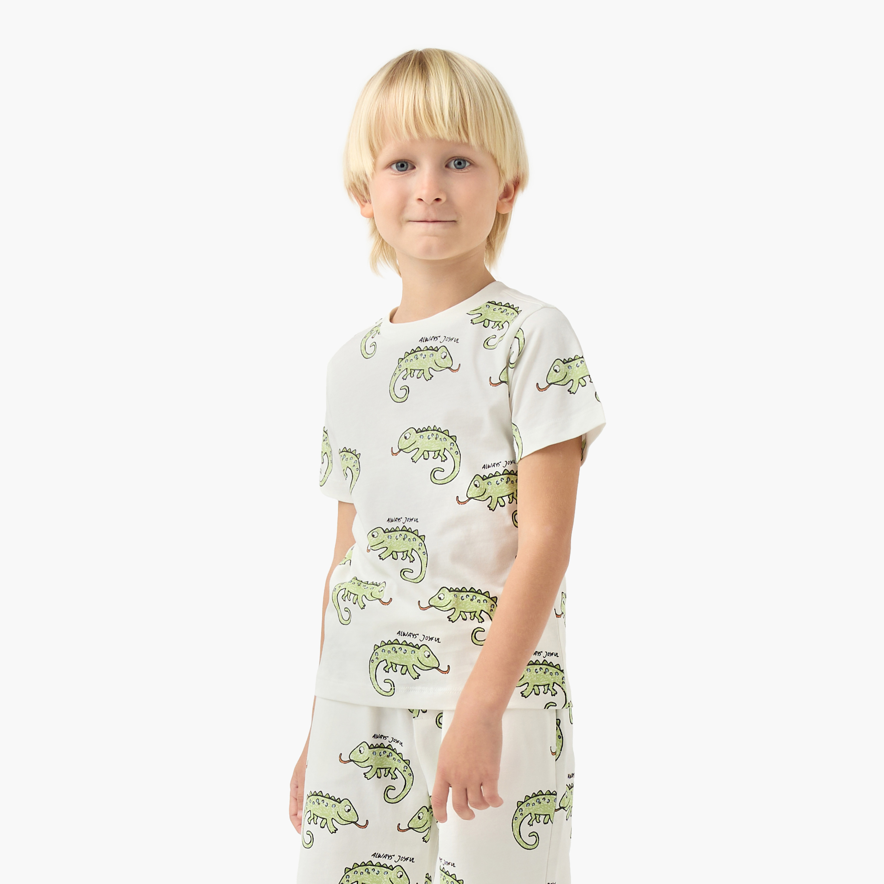 Juniors Crew Neck Short Sleeves T-shirt and Shorts Set with Chameleon Print-boys-clothing-setsandcoords-image-2