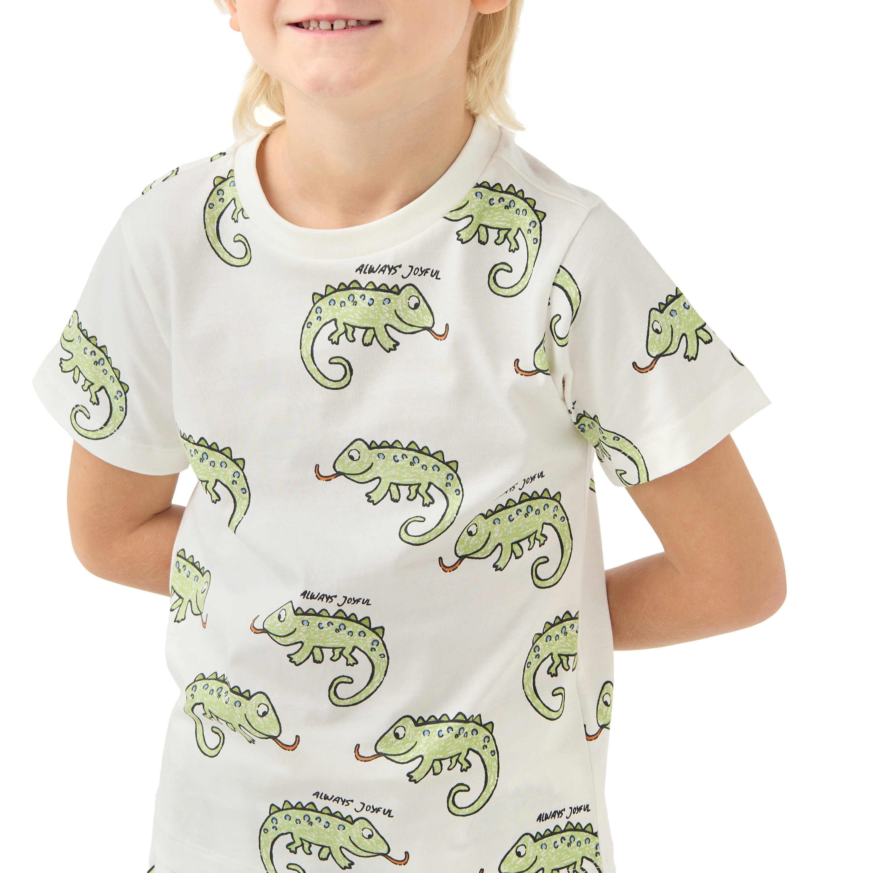 Juniors Crew Neck Short Sleeves T-shirt and Shorts Set with Chameleon Print-boys-clothing-setsandcoords-image-5