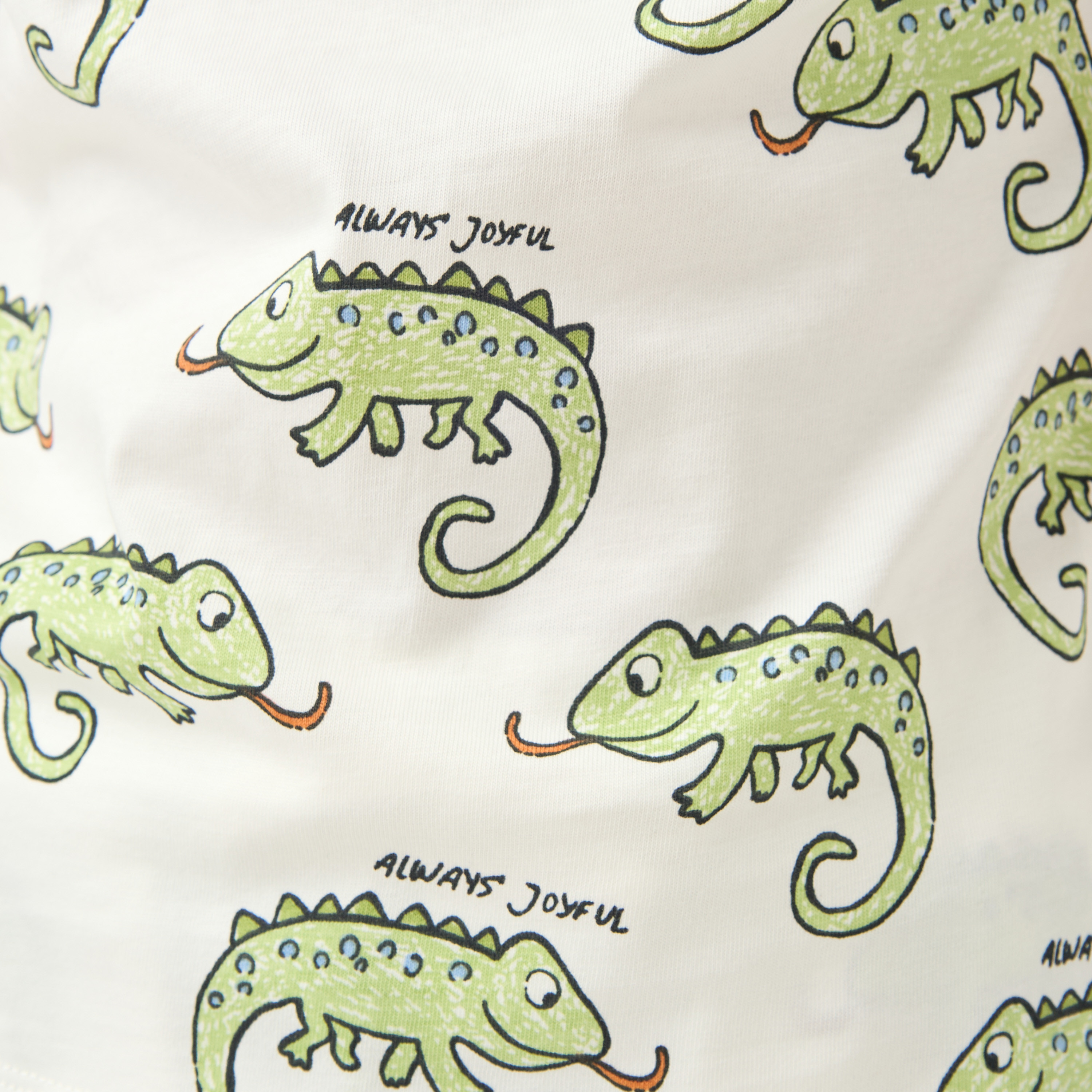 Juniors Crew Neck Short Sleeves T-shirt and Shorts Set with Chameleon Print-boys-clothing-setsandcoords-image-6