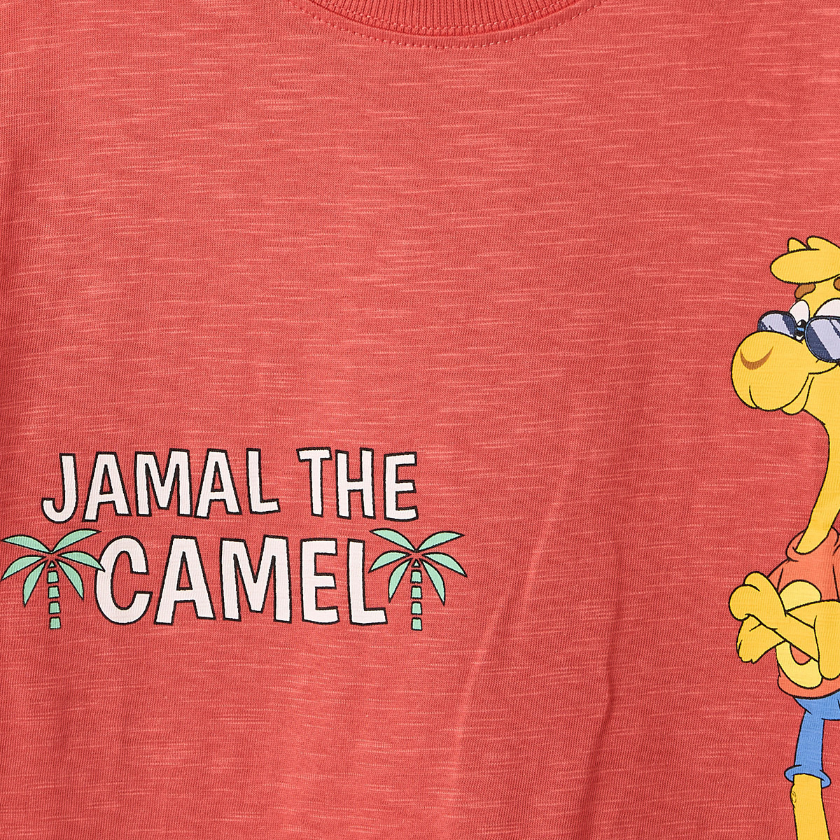 PIXITOON Crew Neck Short Sleeves T-shirt with Camel Print-boys-clothing-tshirtsandpolos-image-4