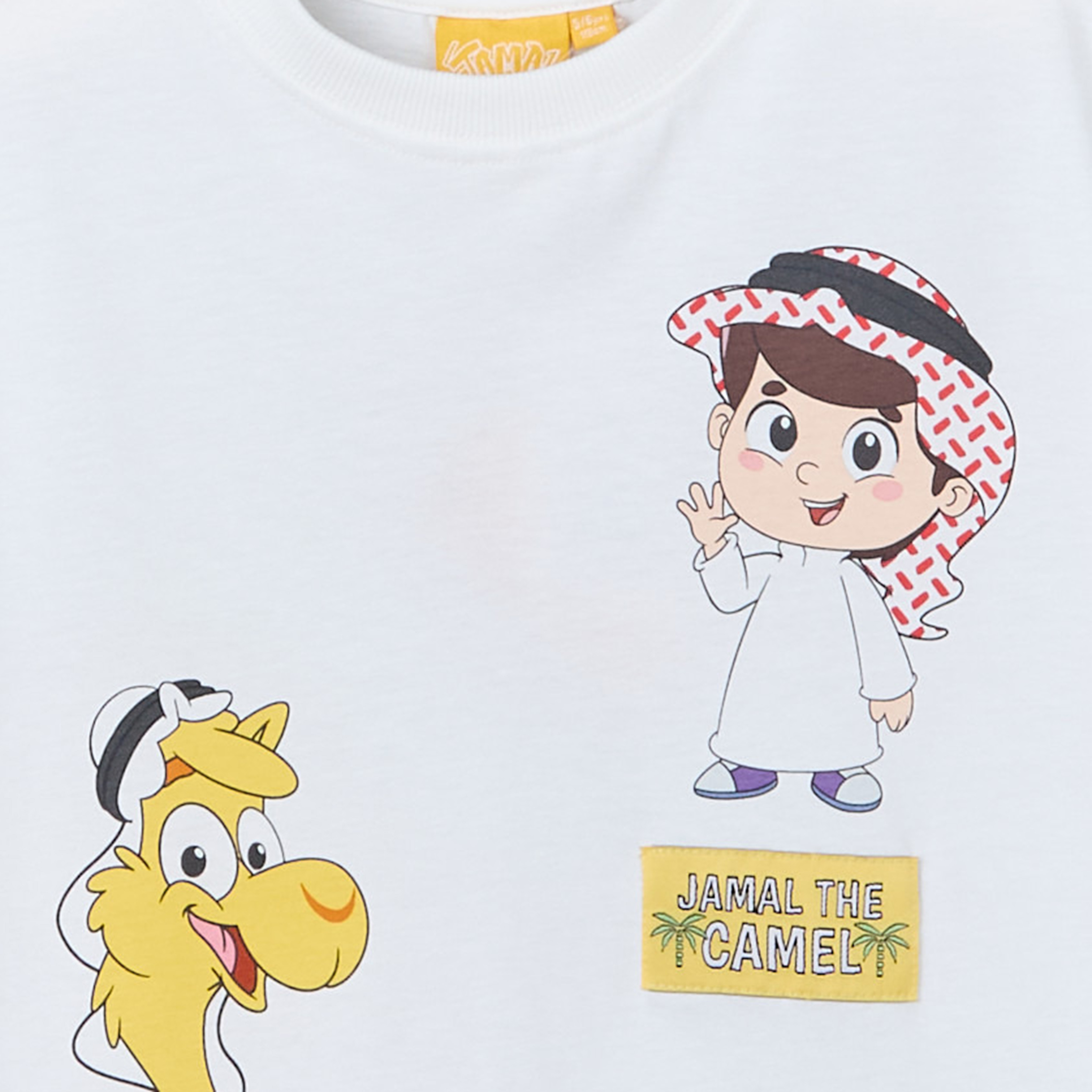 PIXITOON Crew Neck Short Sleeves T-shirt and Shorts Set with Jamal the Camel Print-boys-clothing-setsandcoords-image-5
