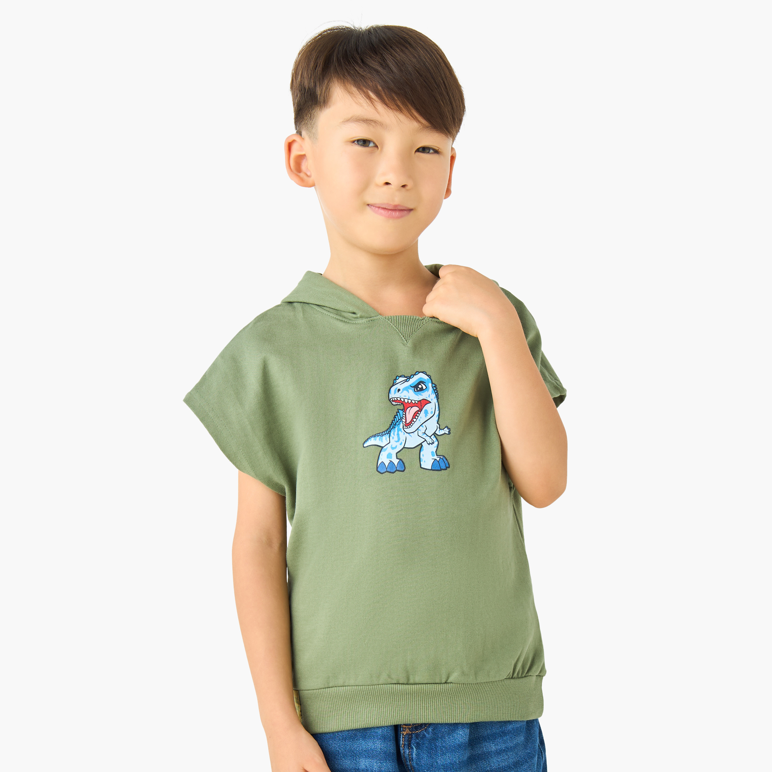 Hooded Neck Short Sleeves T-shirt with Dinosaur Print-boys-clothing-tshirtsandpolos-image-4