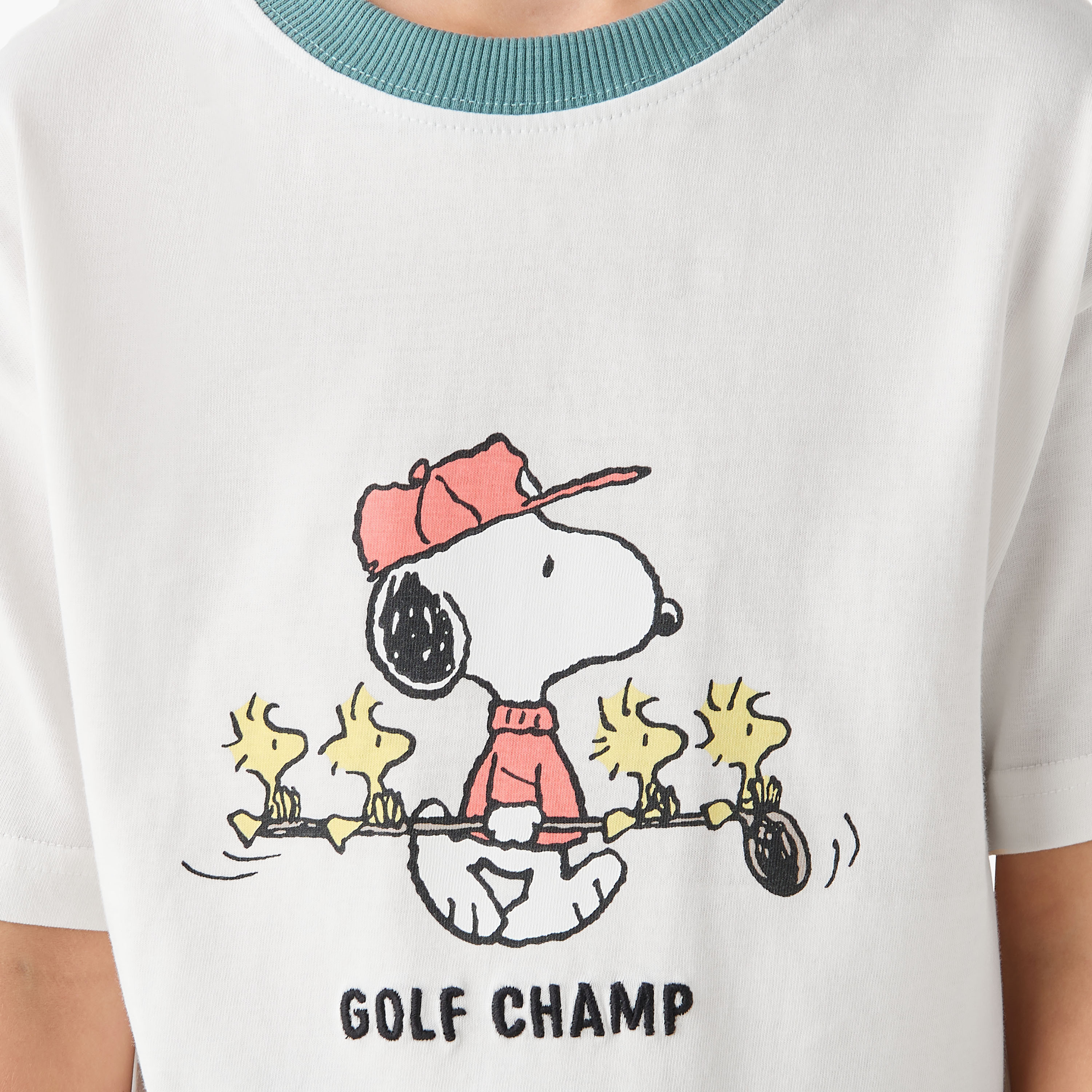 Crew Neck Short Sleeves T-shirt and Shorts Set with Snoopy Print-baby-boys-clothing-setsandcoords-image-6