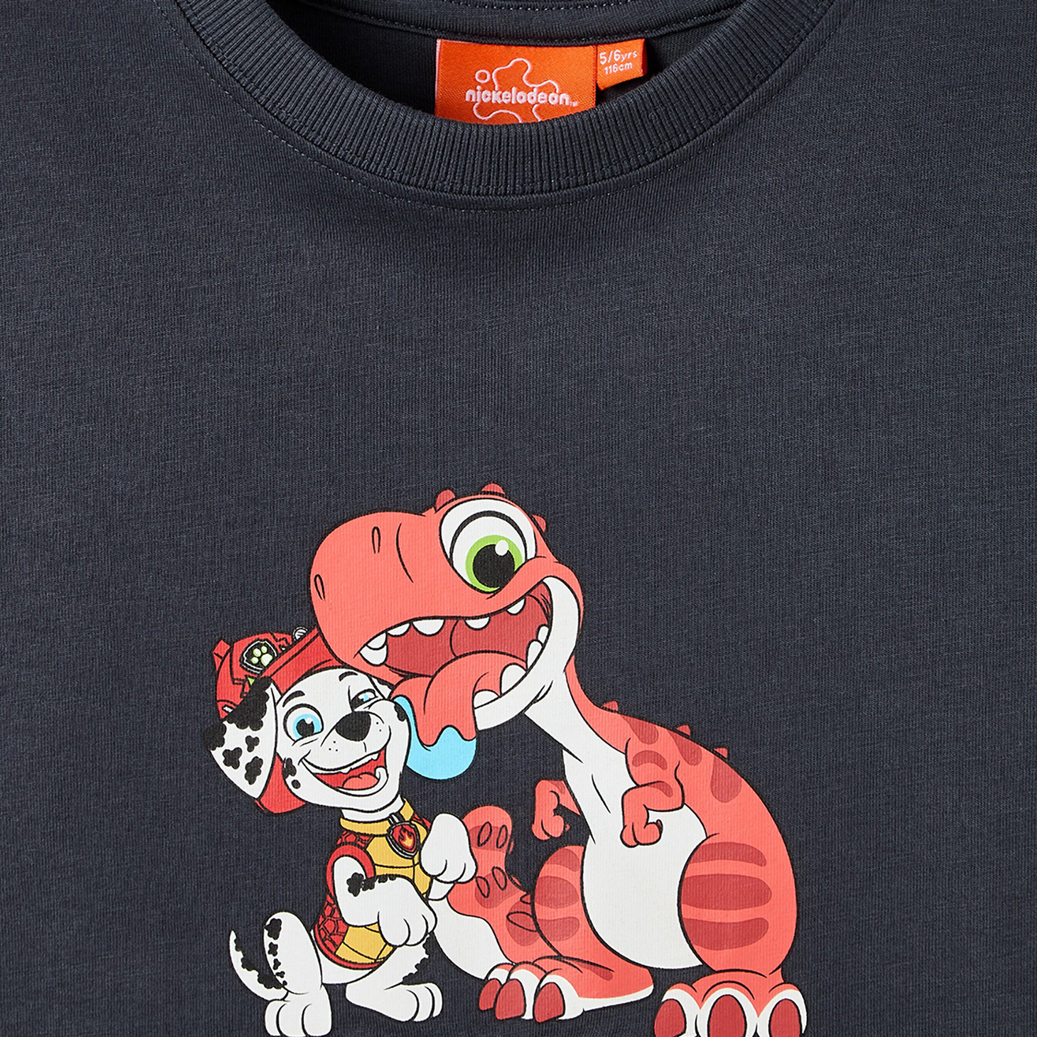 Crew Neck Short Sleeve T-shirt and Shorts Set with PAW Patrol Print-baby-boys-clothing-setsandcoords-image-5