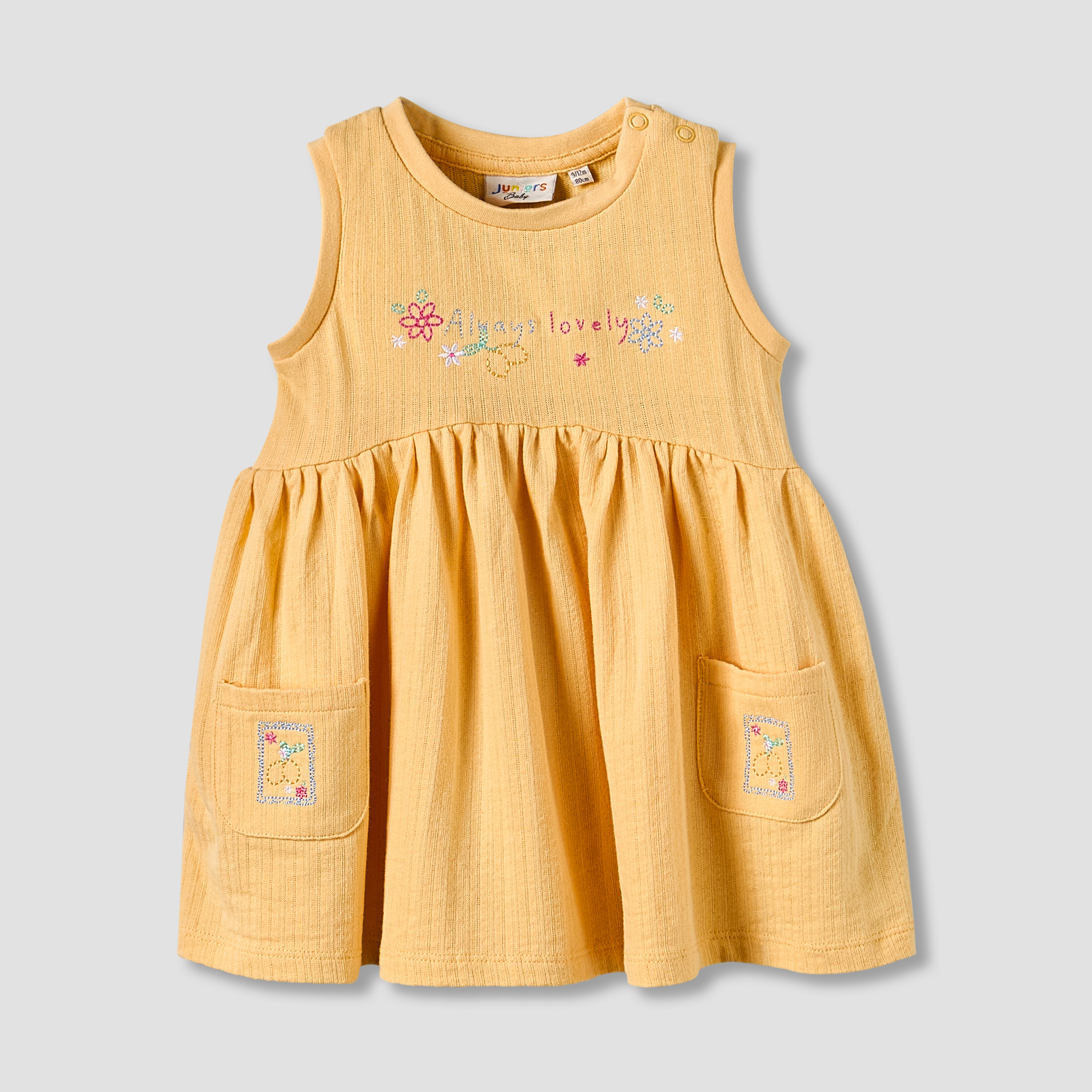 Juniors Round Neck Sleeveless Knee-Length Dress with Embroidery-baby-girls-clothing-dressesandjumpsuits-image-1