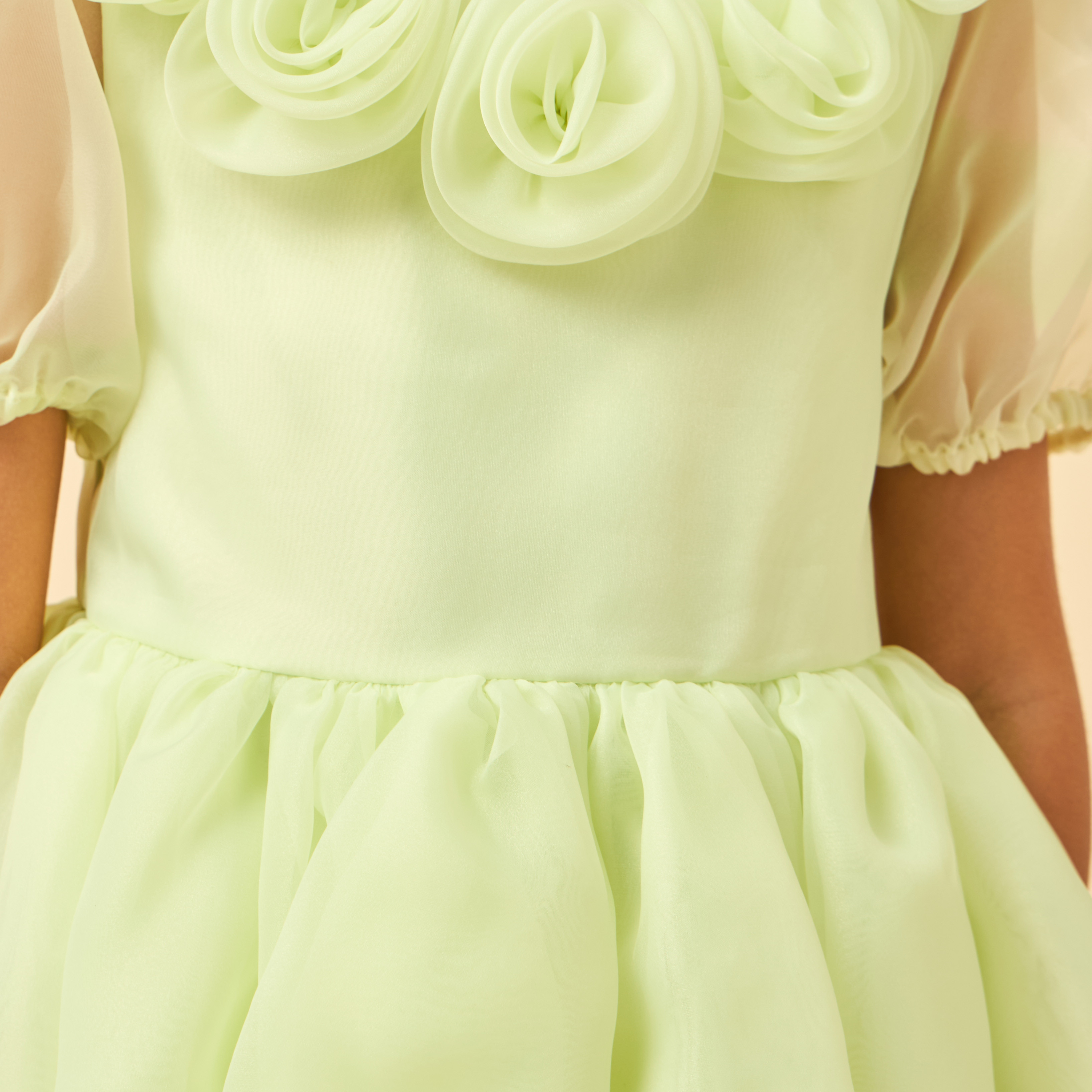 Juniors Round Neck Short Sleeves Dress with Floral Applique-girls-clothing-dressesandjumpsuits-image-6