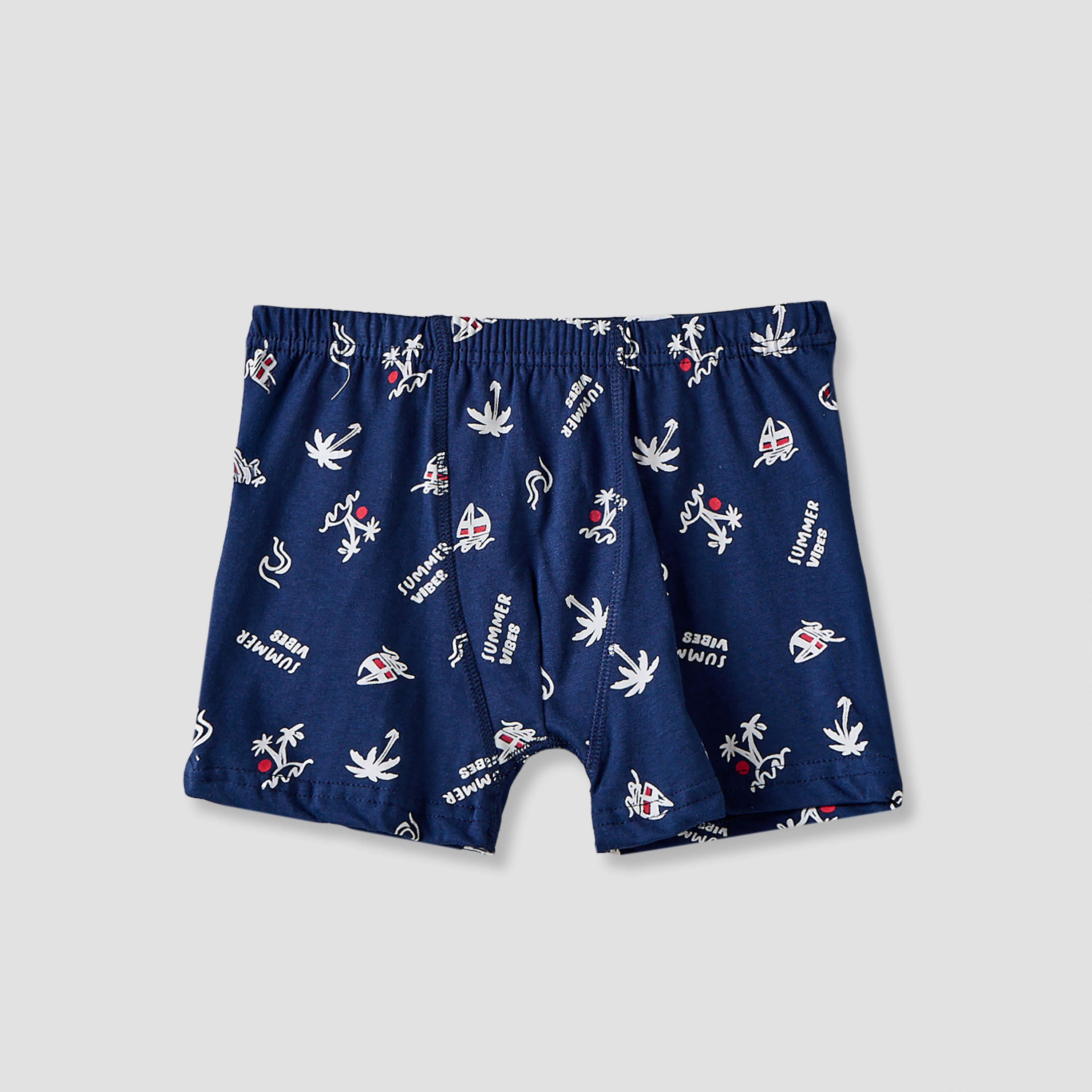 Pack of 5 Juniors Cotton Boxer Briefs with Nautical Print-boys-clothing-innerwear-boxersandbriefs-image-3