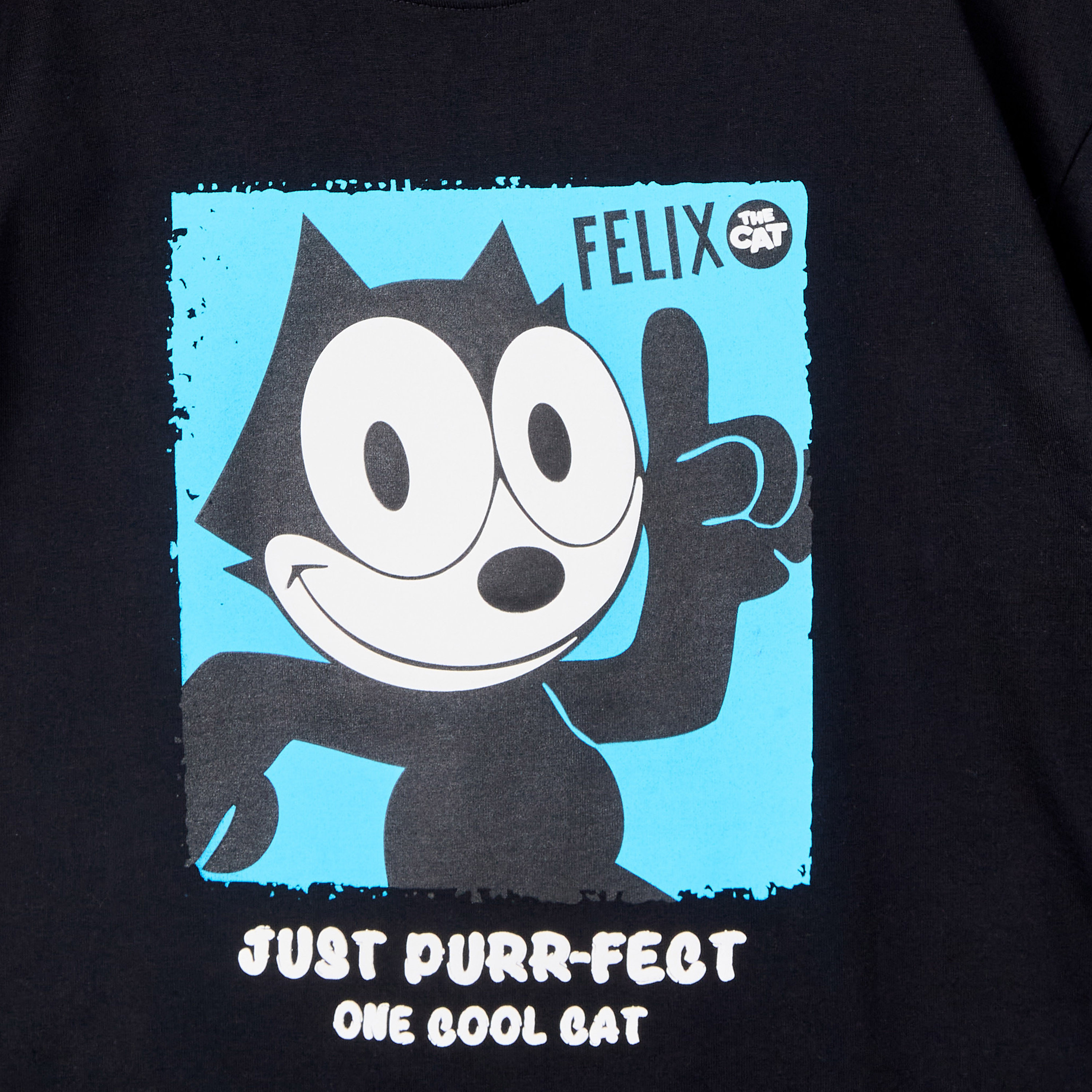 Crew Neck Short Sleeves T-shirt with Felix the Cat Print-boys-clothing-tshirtsandpolos-image-4