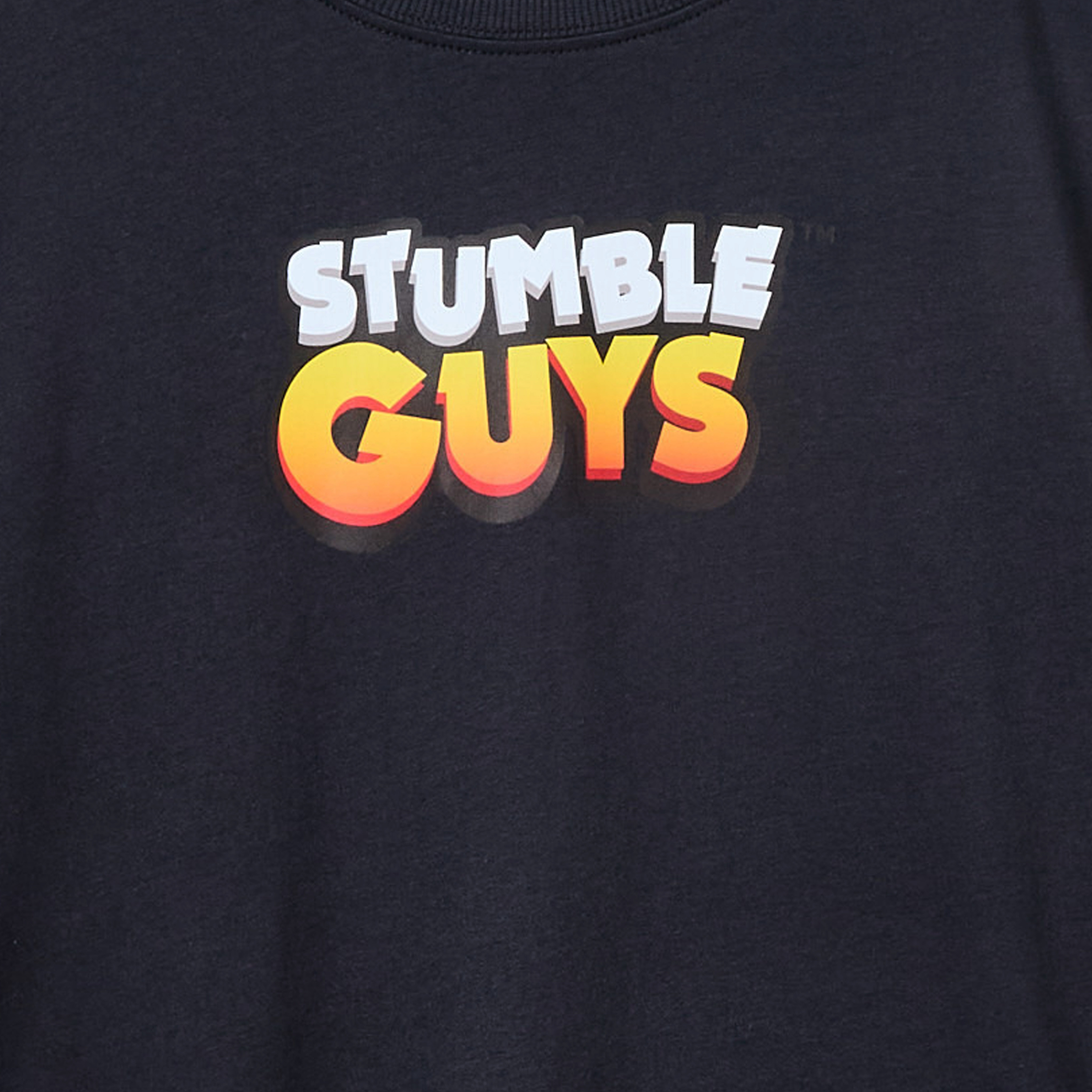 Stumble Guys Crew Neck Short Sleeves T-shirt with Graphic Print-boys-clothing-tshirtsandpolos-image-3