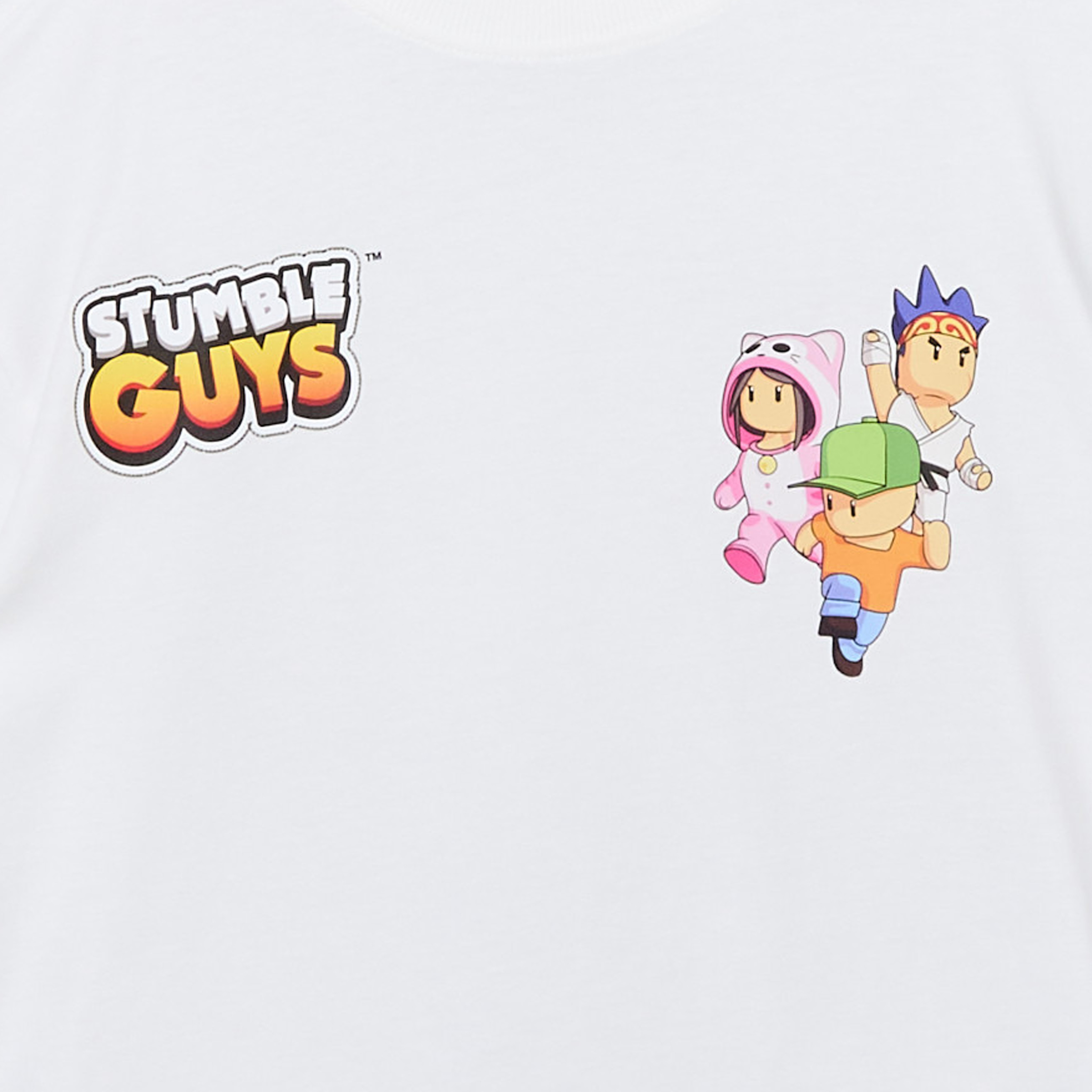 Stumble Guys Crew Neck Short Sleeves T-shirt and Shorts Set with Graphic Print-boys-clothing-tshirtsandpolos-image-4