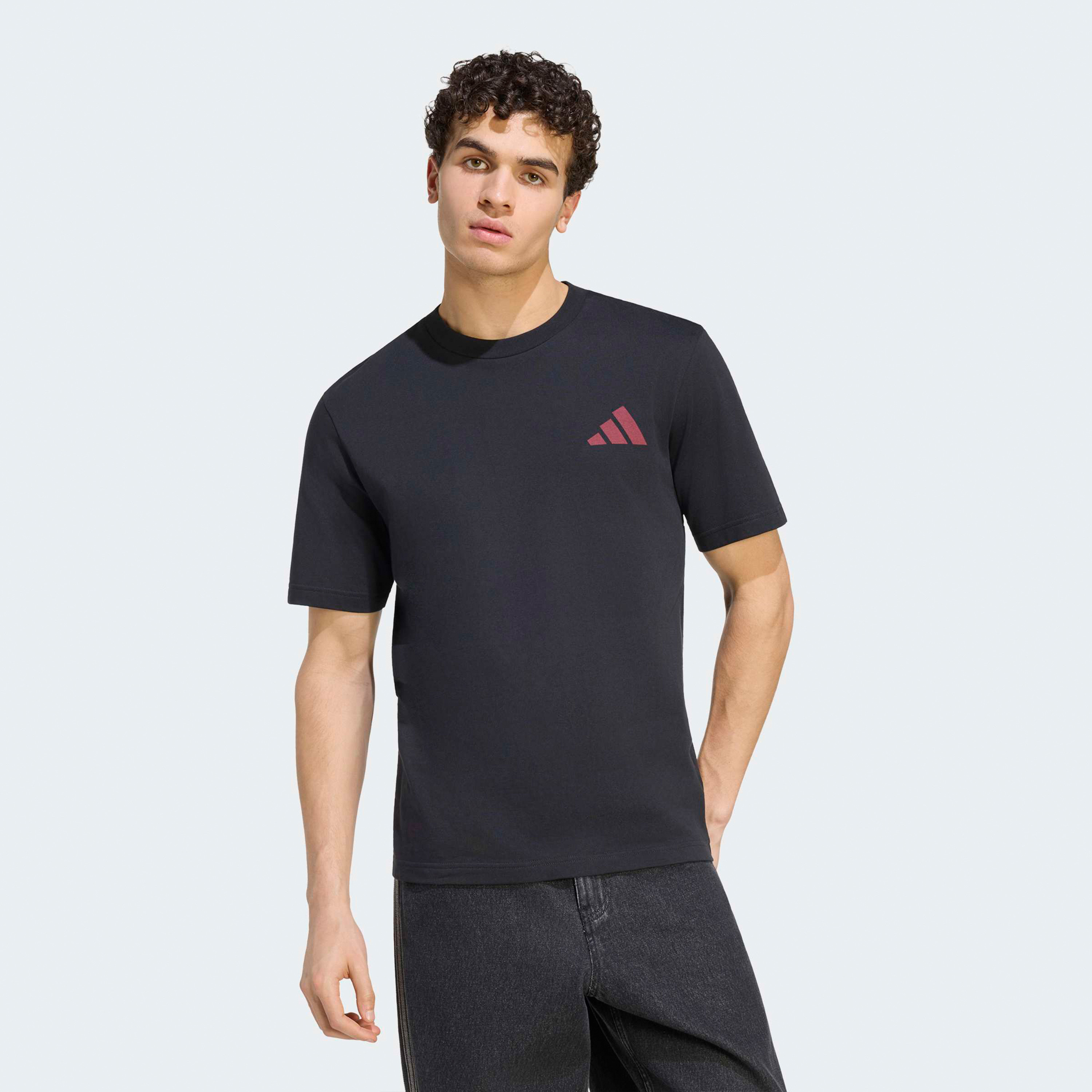 adidas Men Liverpool FC Seasonal Graphic Crew Neck T-shirt-men-clothing-sportswearandactivewear-tshirtsandpolos-image-1