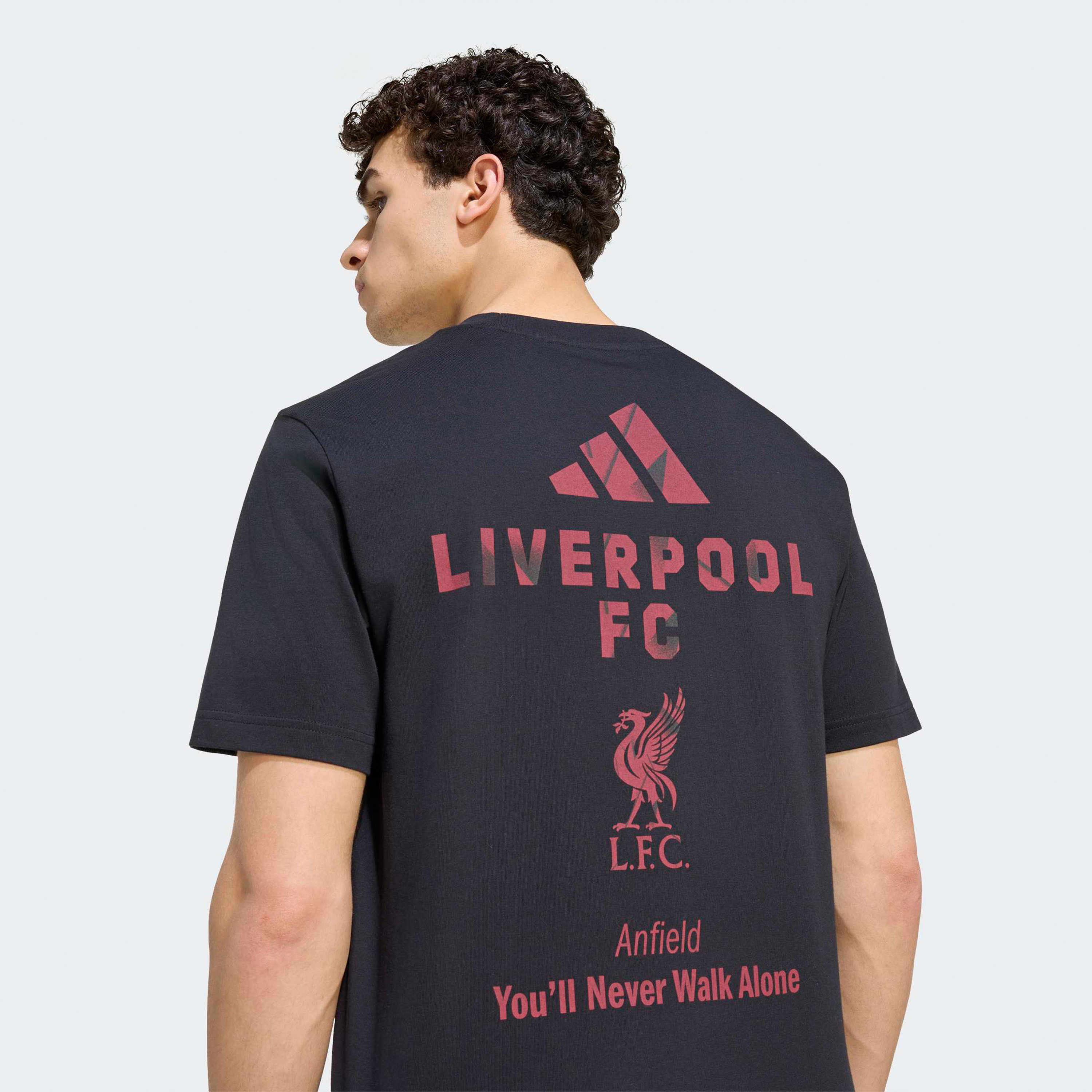 adidas Men Liverpool FC Seasonal Graphic Crew Neck T-shirt-men-clothing-sportswearandactivewear-tshirtsandpolos-image-5
