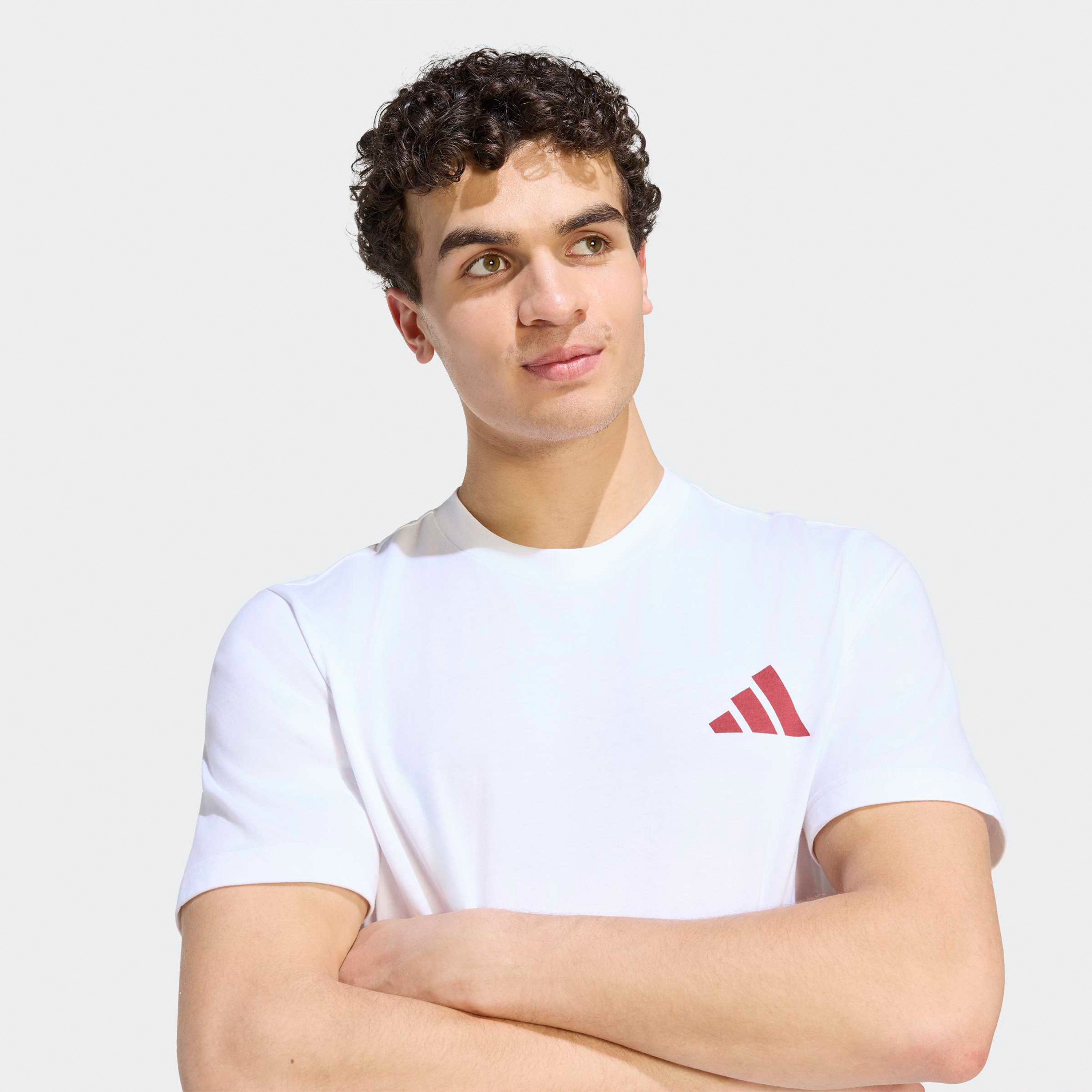 اديداس - تيشيرت رجالي برقبة دائرية مزين برسومات موسمية لنادي ليفربول لكرة القدم-men-clothing-sportswearandactivewear-tshirtsandpolos-image-4