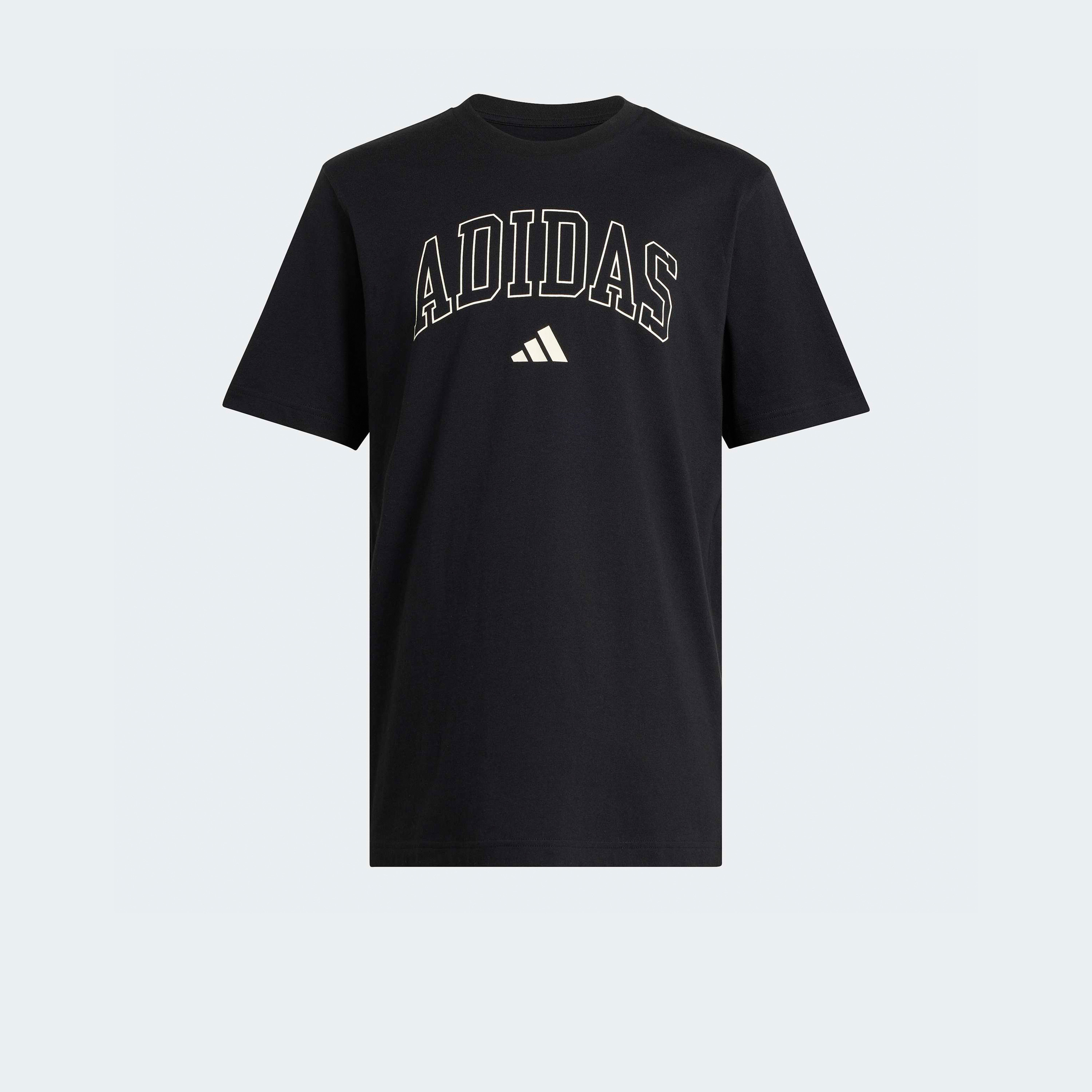 أديداس - تيشيرت جرافيكي كوليجيت لاينيج للرجال | OE-men-clothing-sportswearandactivewear-tshirtsandpolos-image-6