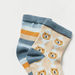 Juniors Printed Ankle Length Socks - Set of 2-Socks-thumbnail-2
