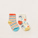 Juniors Assorted Ankle Length Socks - Set of 2-Socks-thumbnailMobile-0