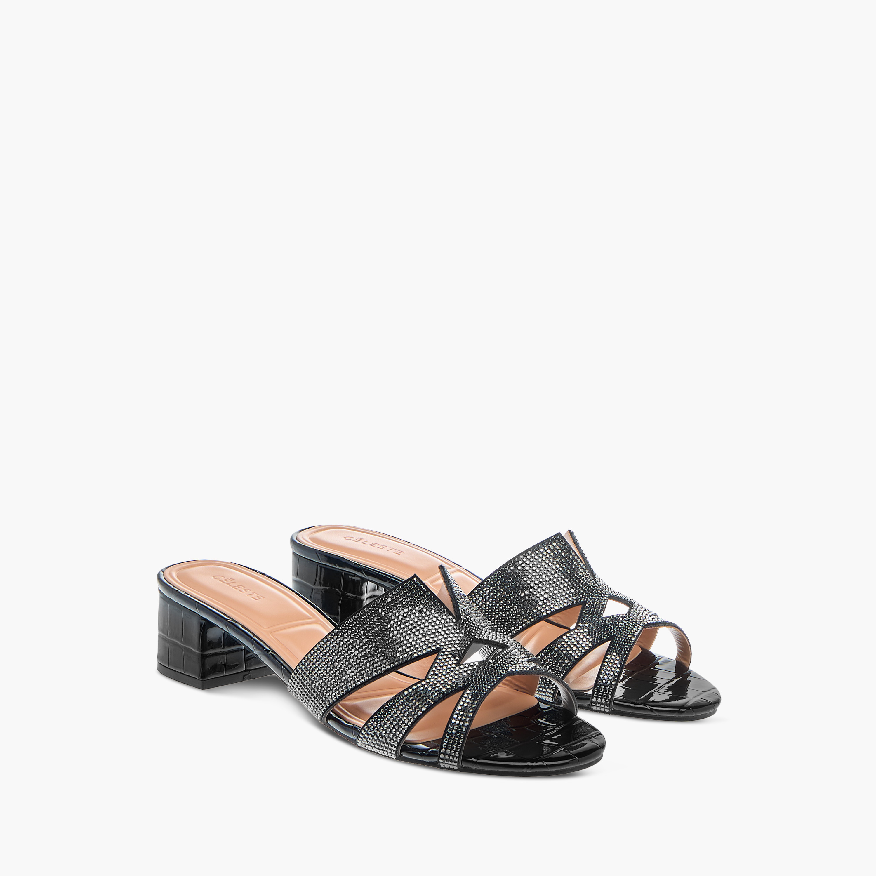 Celeste Women's Embellished Slip-On Sandals with Block Heels-women-shoes-sandals-heeled-image-1