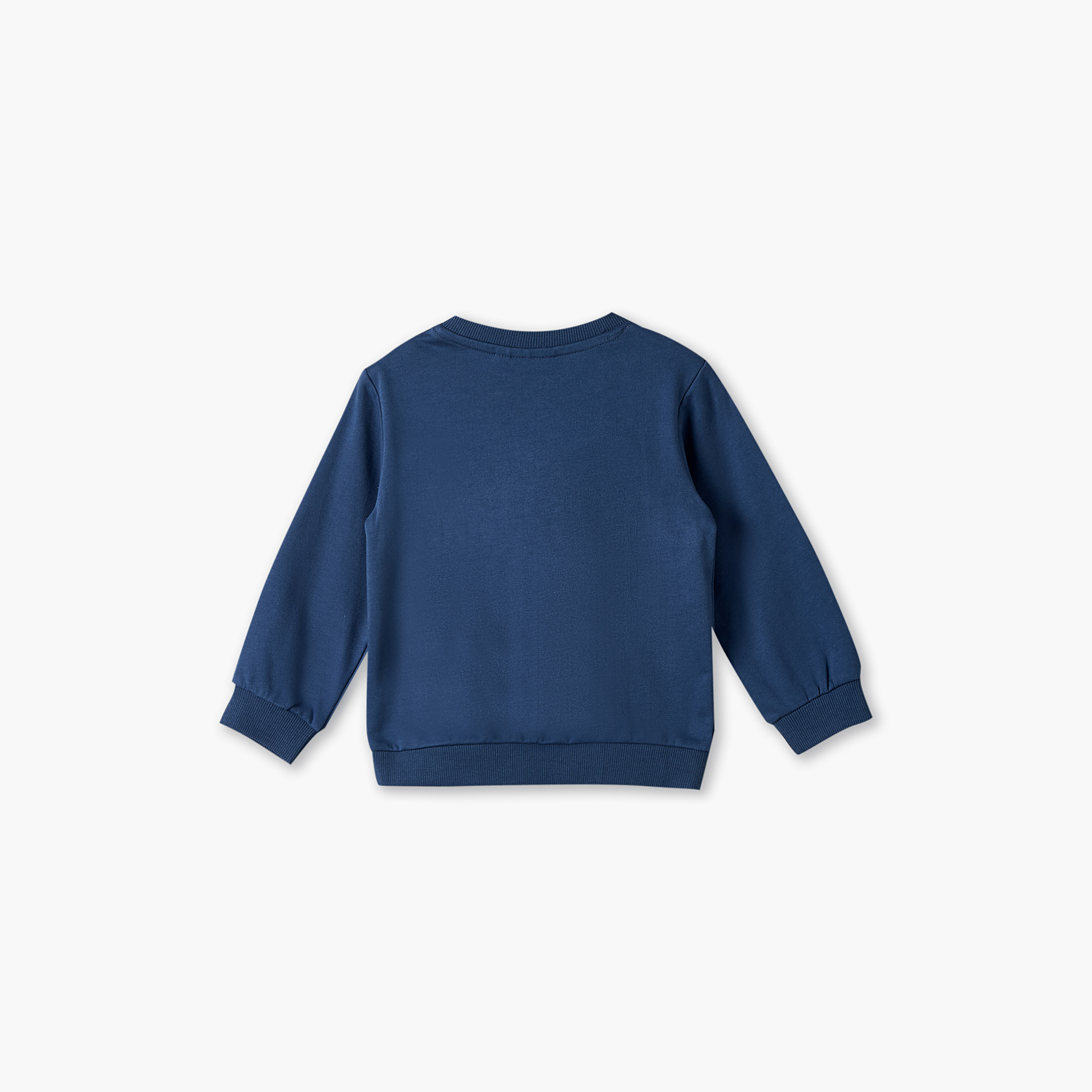 Juniors Round Neck Sweatshirt with Lion Print-baby-boys-clothing-winterwear-sweatshirts-image-3