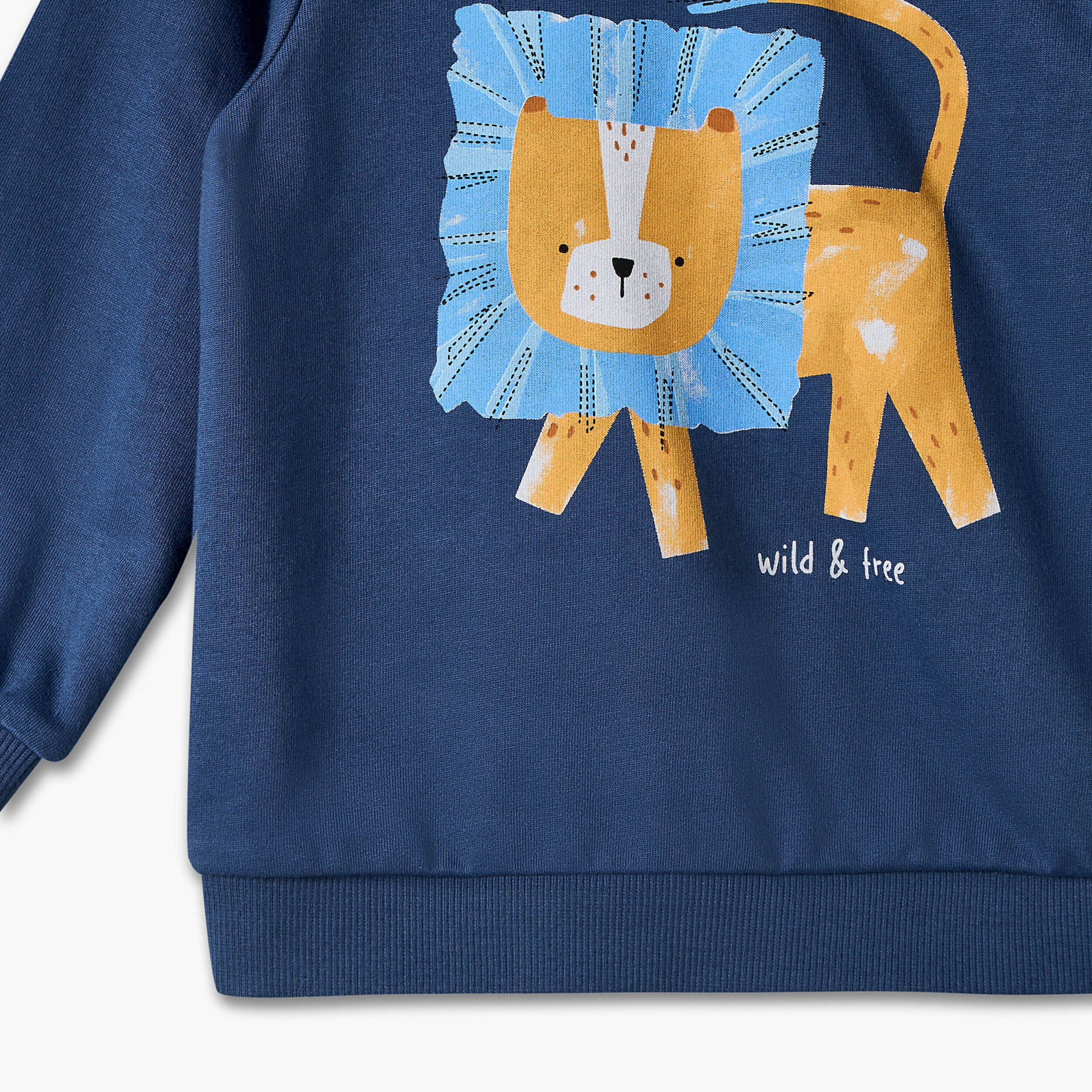 Juniors Round Neck Sweatshirt with Lion Print-baby-boys-clothing-winterwear-sweatshirts-image-4