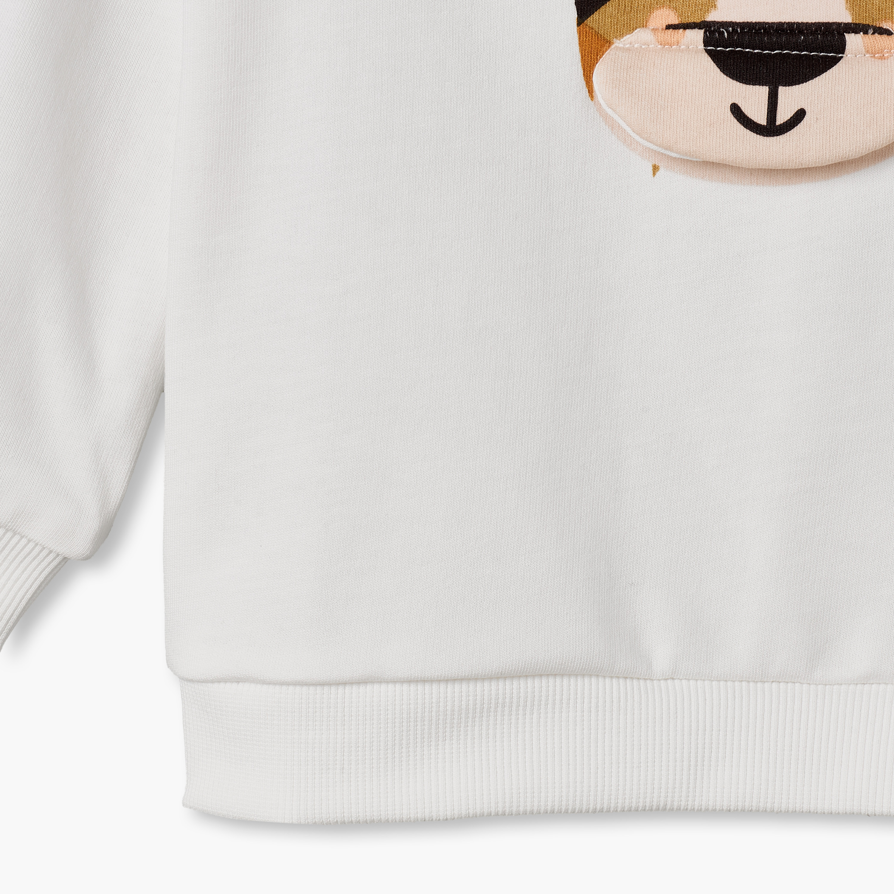Juniors Round Neck Sweatshirt with Tiger Face Print-baby-boys-clothing-winterwear-sweatshirts-image-5