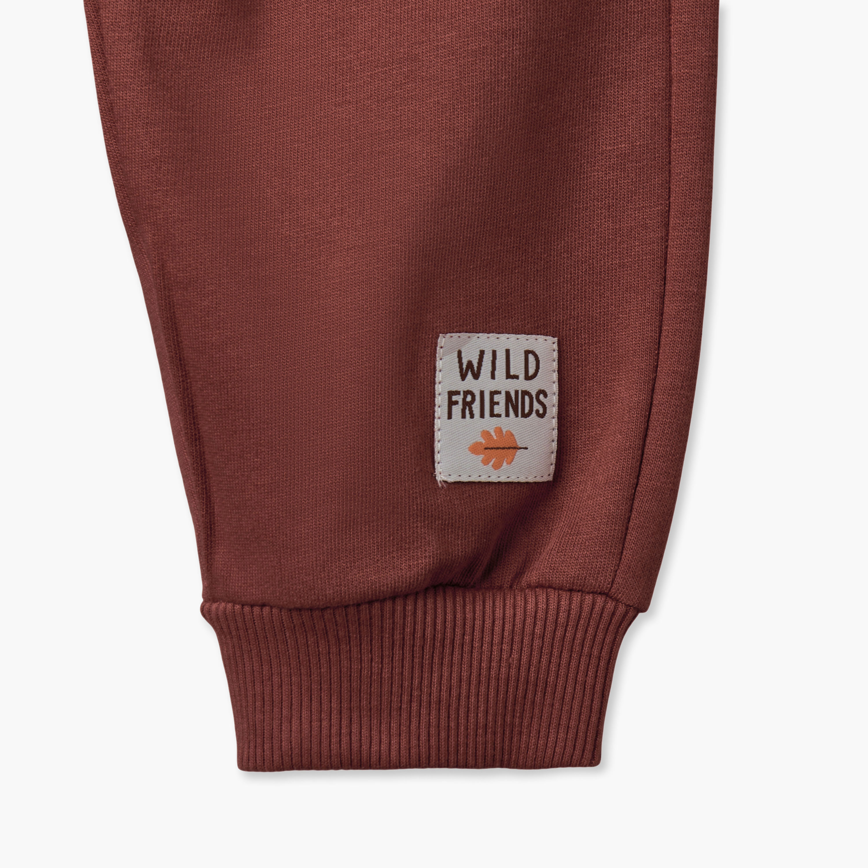 Juniors Crew Neck Long Sleeves Sweatshirt and Joggers Set with Applique Design-baby-boys-clothing-winterwear-setsandcoords-image-9