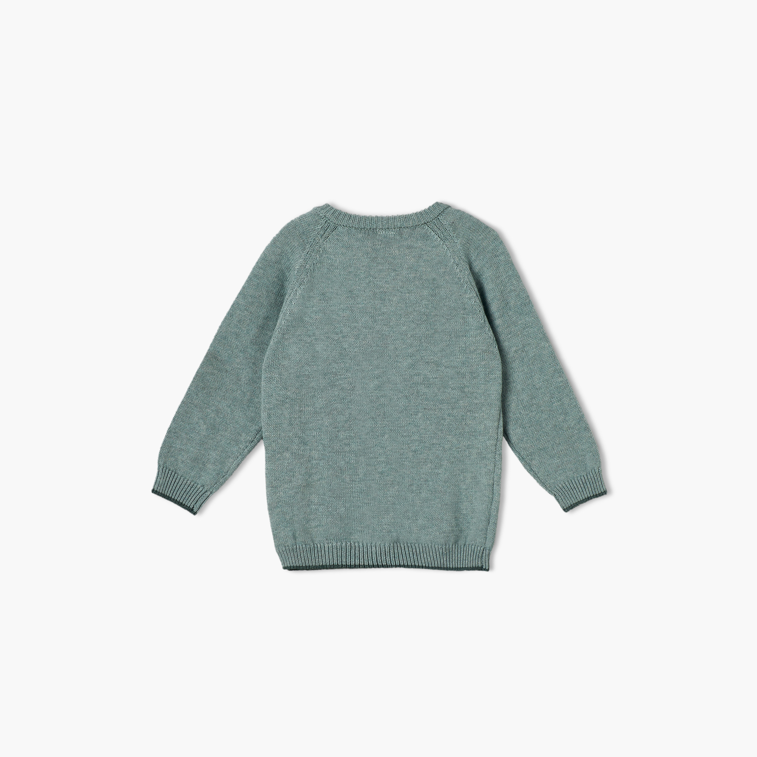كنزة بياقة ضيقة وتطريز سحاب من جيجلز-baby-boys-clothing-winterwear-jumpersandcardigans-image-3