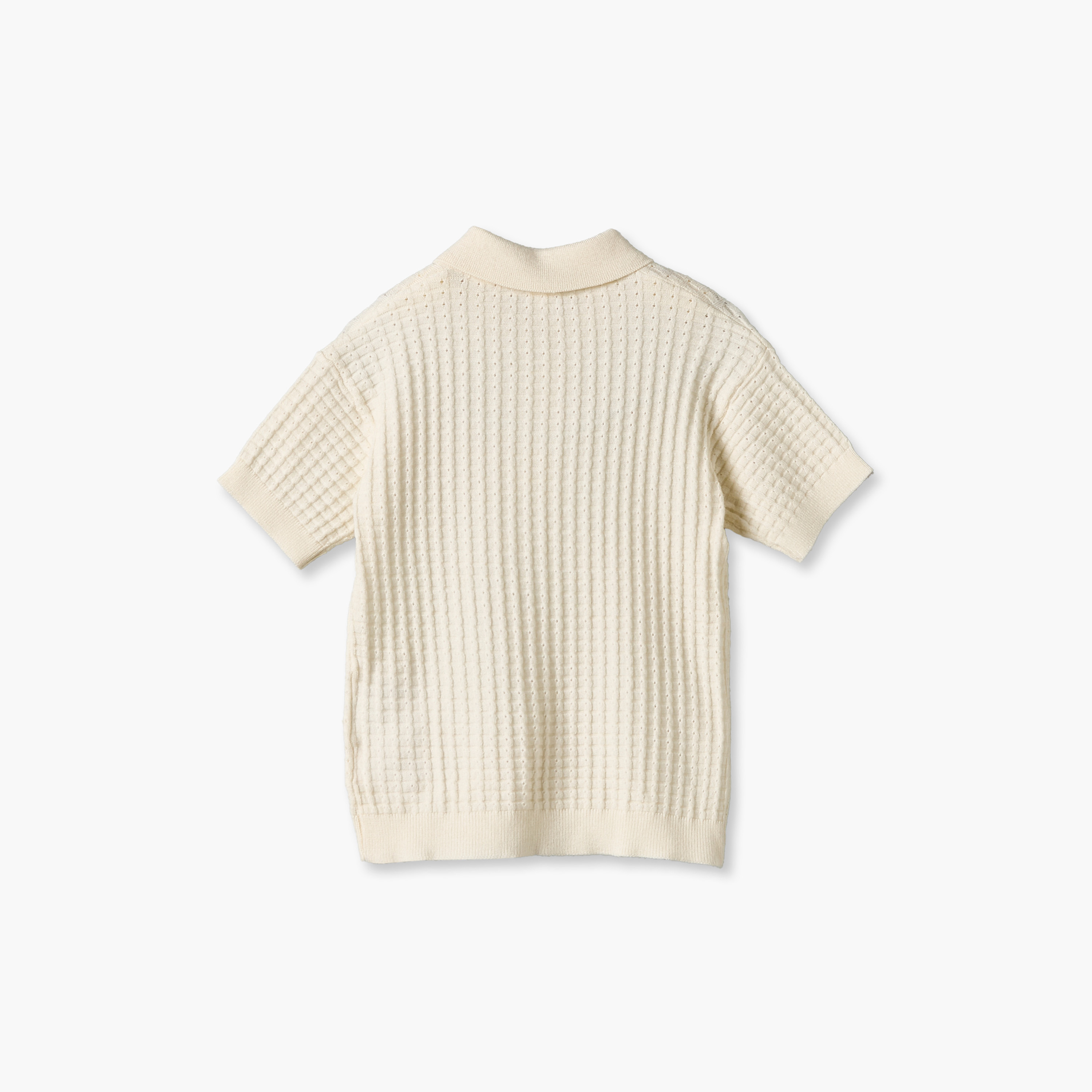Giggles Short Sleeves Polo T-shirt with Texture-baby-boys-clothing-shirts-image-3