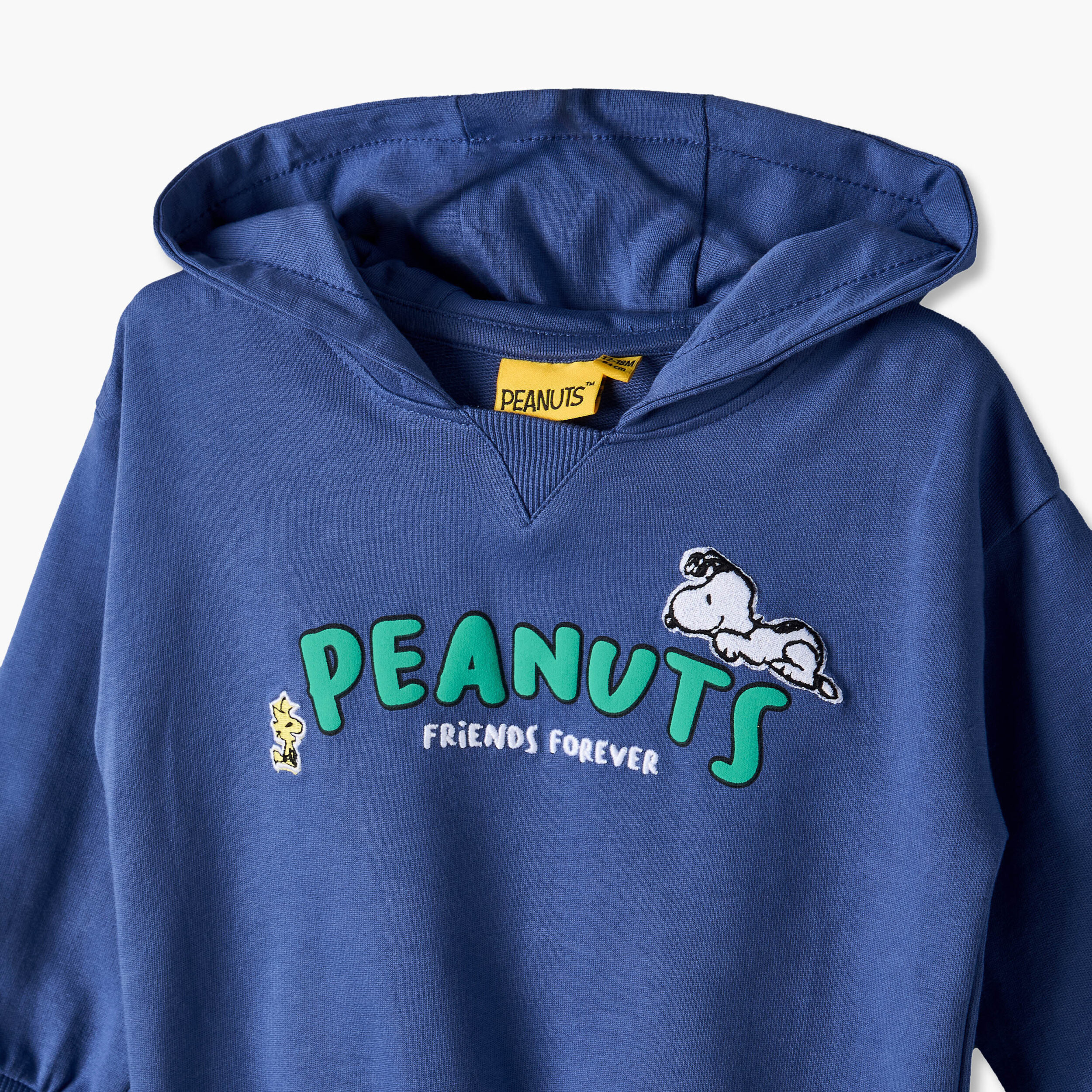 Hooded Neck Long Sleeves Sweatshirt and Joggers Set with Snoopy Print-baby-boys-clothing-setsandcoords-image-6