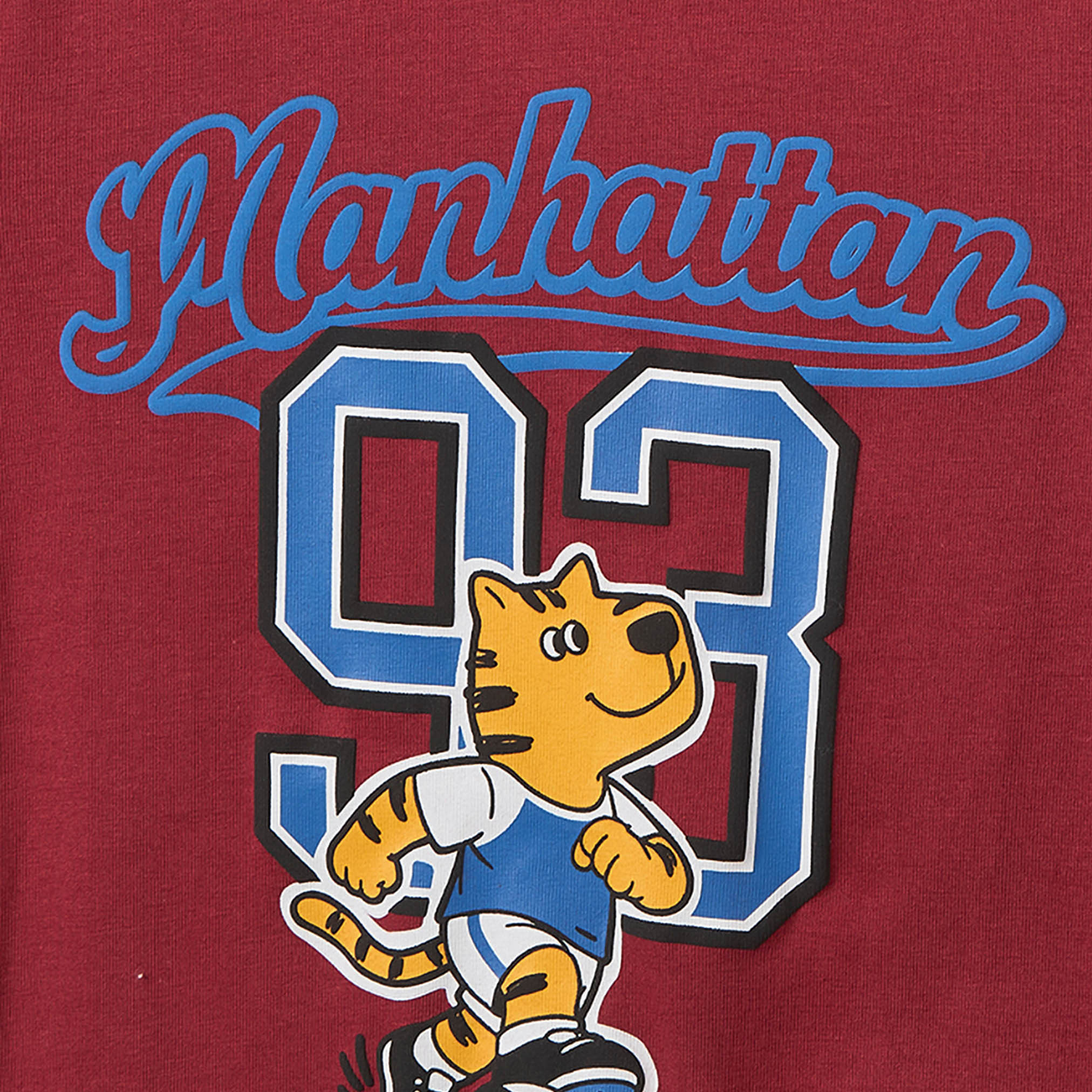 Juniors Crew Neck Short Sleeves T-shirt with Manhattan Print-boys-clothing-tshirtsandpolos-image-4