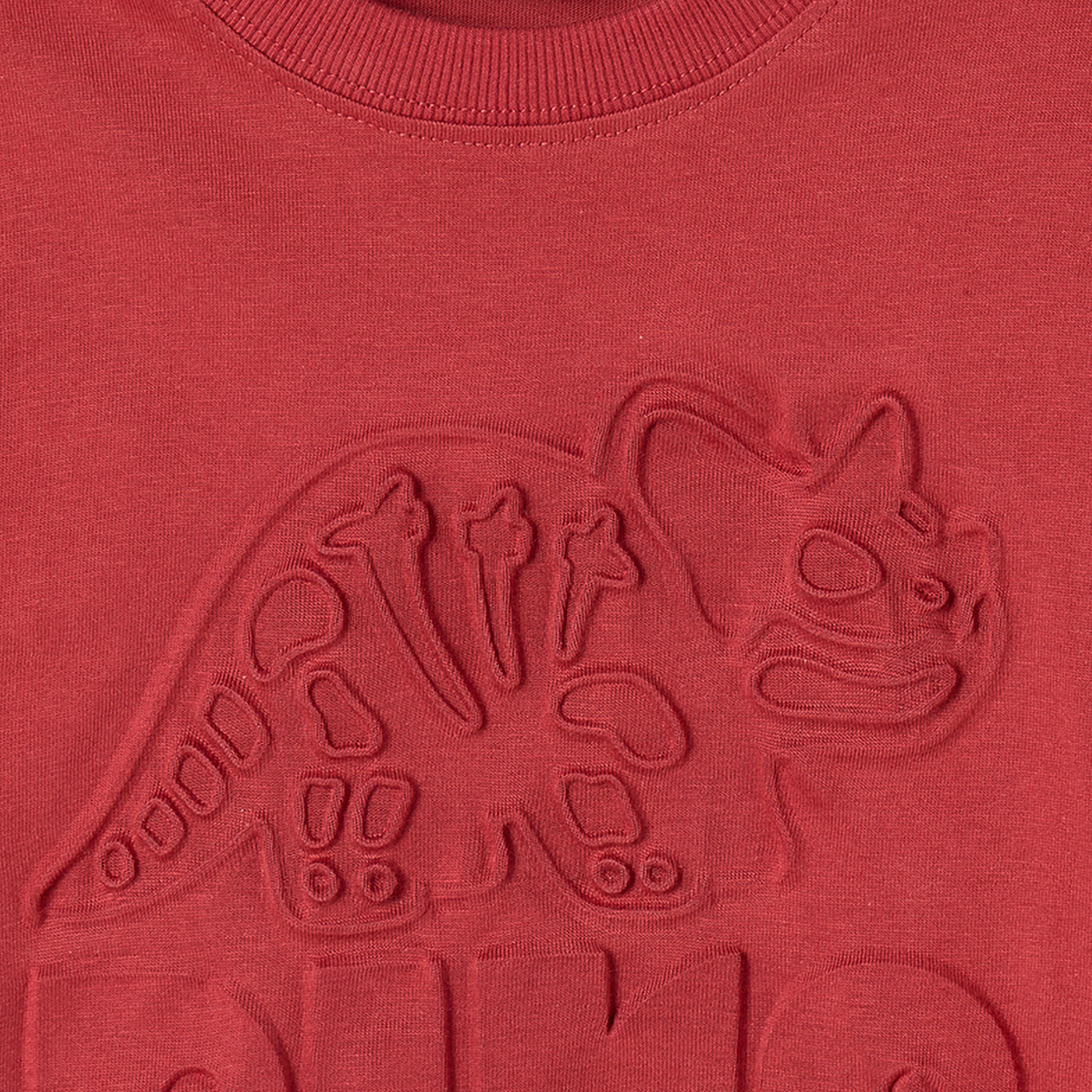 Juniors Crew Neck Long Sleeves T-shirt with Embossed Dinosaur-boys-clothing-tshirtsandpolos-image-4