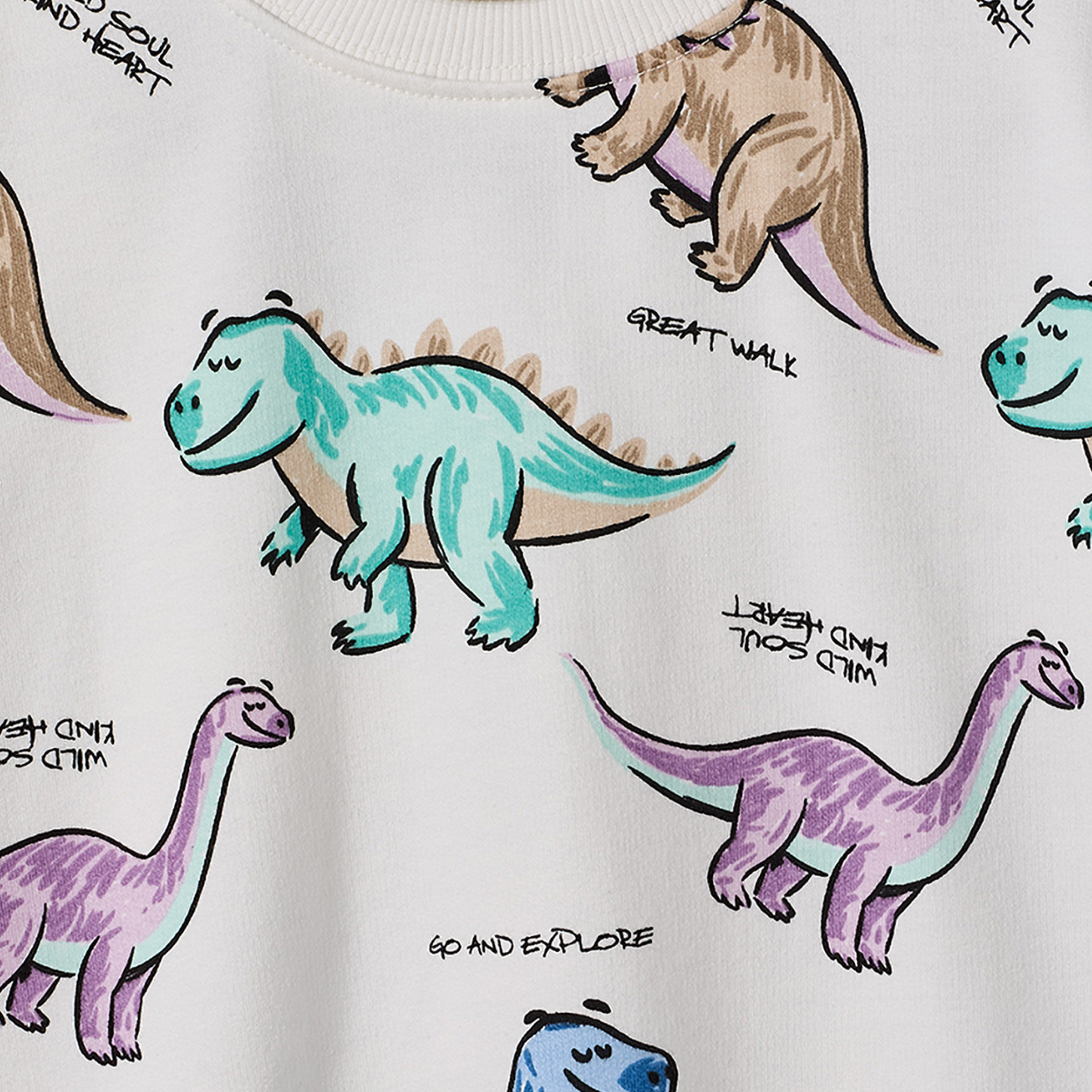 Juniors Dinosaur Print Sweatshirt with Long Sleeves-baby-boys-clothing-winterwear-sweatshirts-image-4