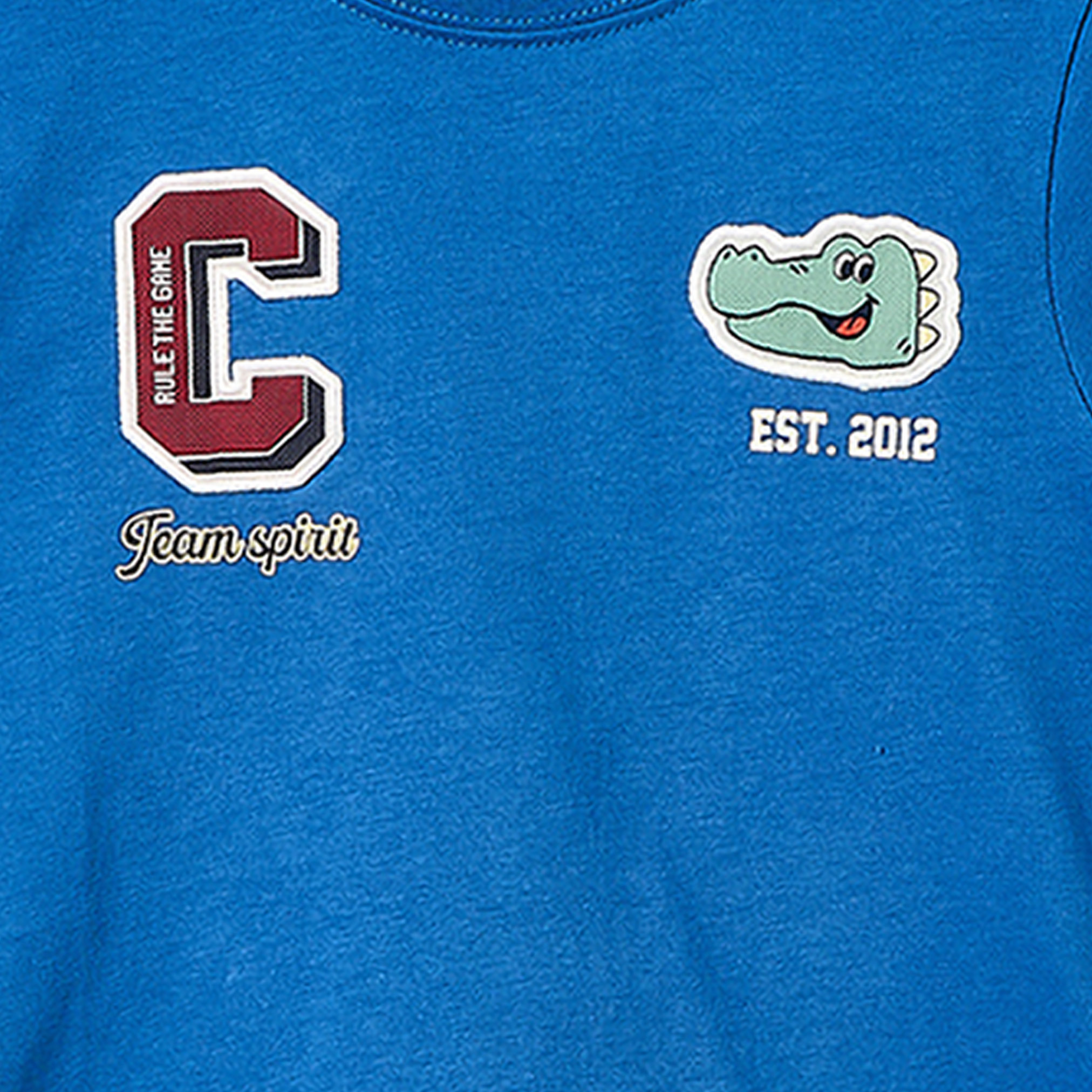 Juniors Crew Neck Short Sleeves T-shirts and Shorts Set with Crocodile Print-boys-clothing-setsandcoords-image-7